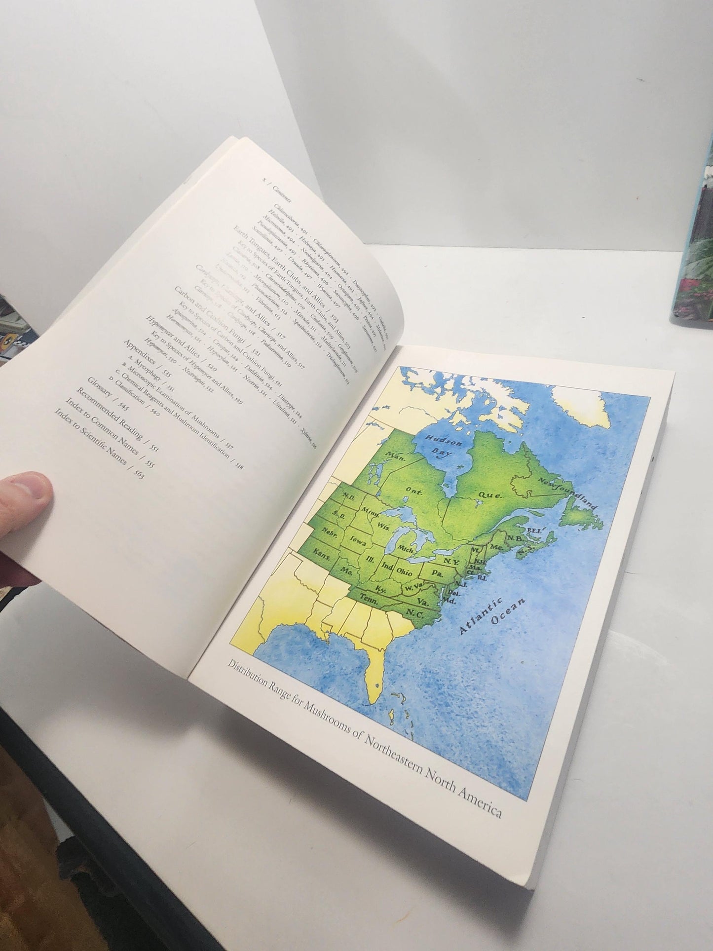 1990s Garden & Mushrooms Vintage Books - Mushrooms Of North America - Great Garden Formulas - Garden - Gardening - Gift For Gardener