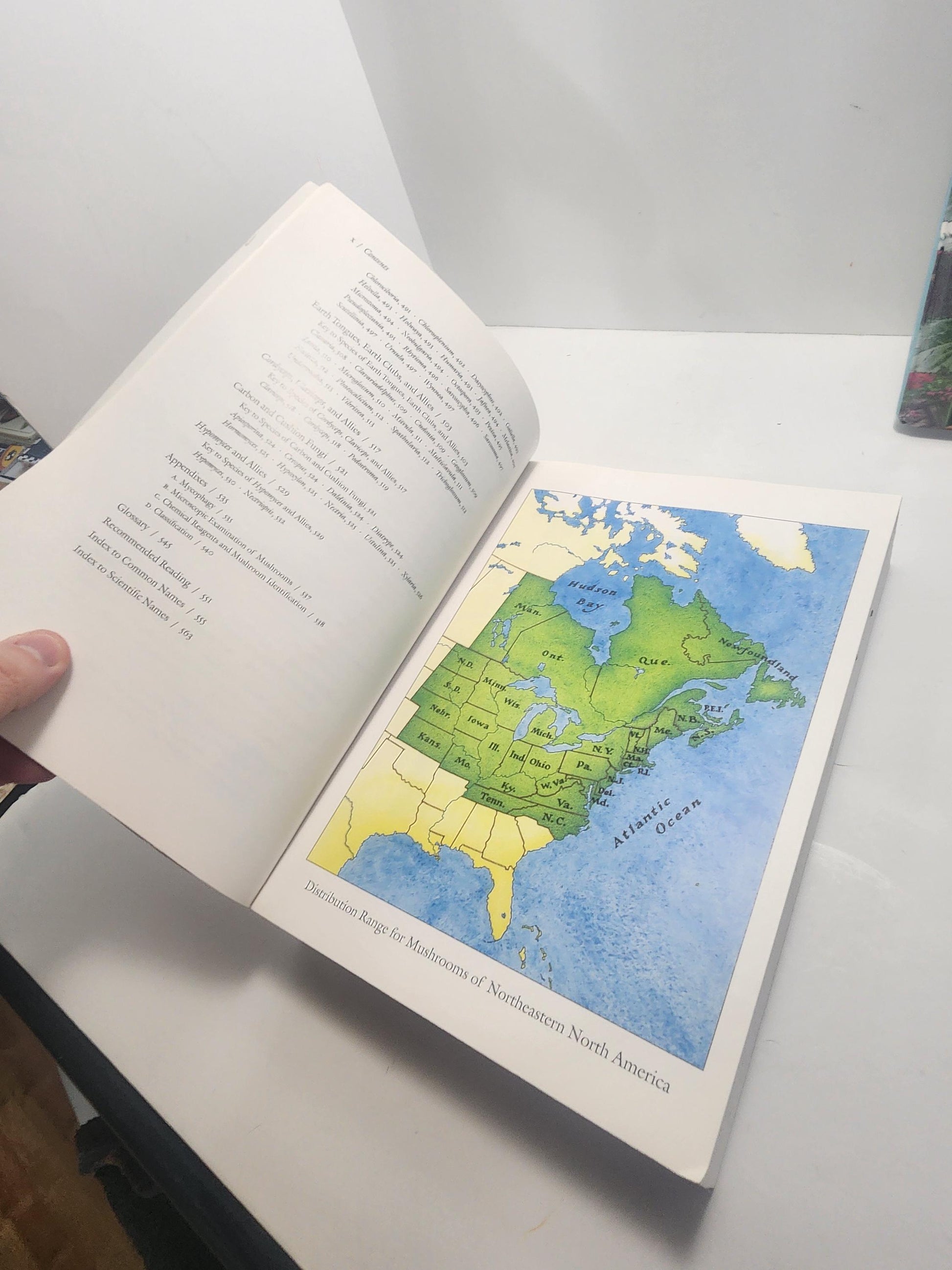 1990s Garden & Mushrooms Vintage Books - Mushrooms Of North America - Great Garden Formulas - Garden - Gardening - Gift For Gardener