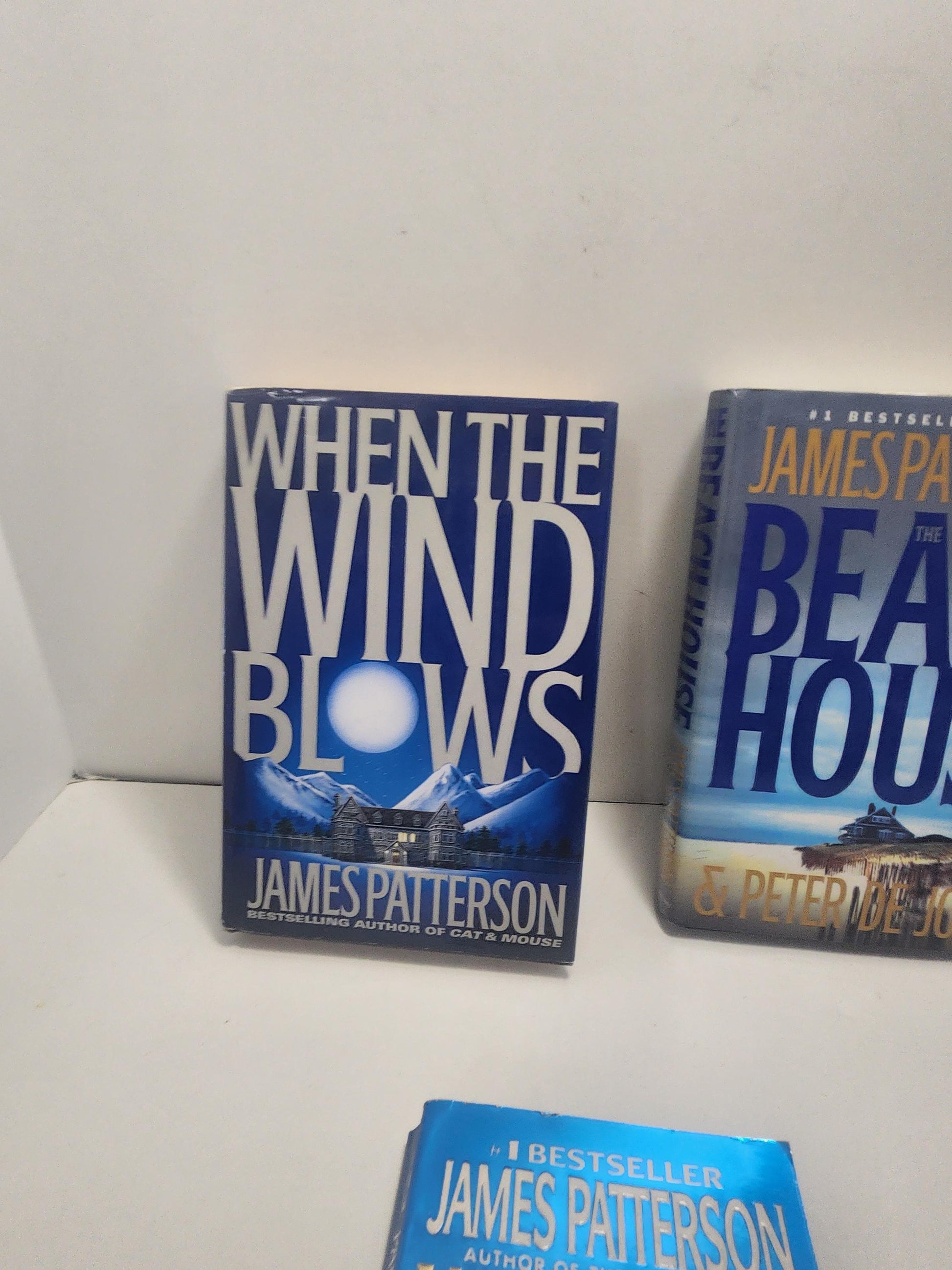 James Patterson Beach House & When The Wind Blows Set Of 2 - James Patterson - James Patterson Books - Books - Famous Authors - Book Series