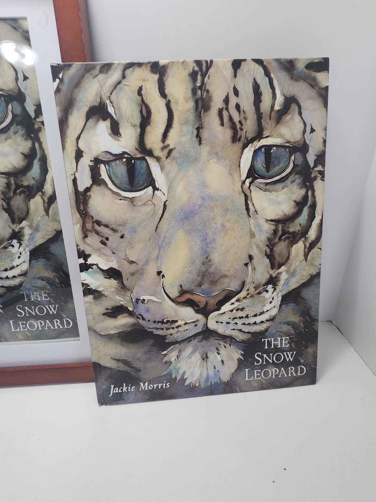 The Snow Leopard By Jackie Morris With Framed Photo Art & Book - Children's Books - Famous Books - Animals - Animal Decor - Snow Leopard