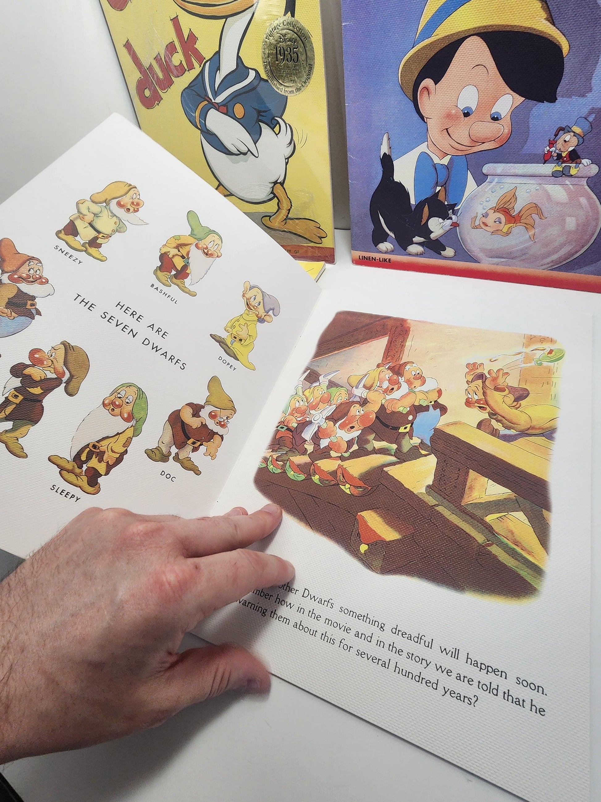 Walt Disney Commerative Books - Snow White - Seven Dwarfs - Donald Duck - Pinnochio - Commerative - Walt Disney - Disney Gifts