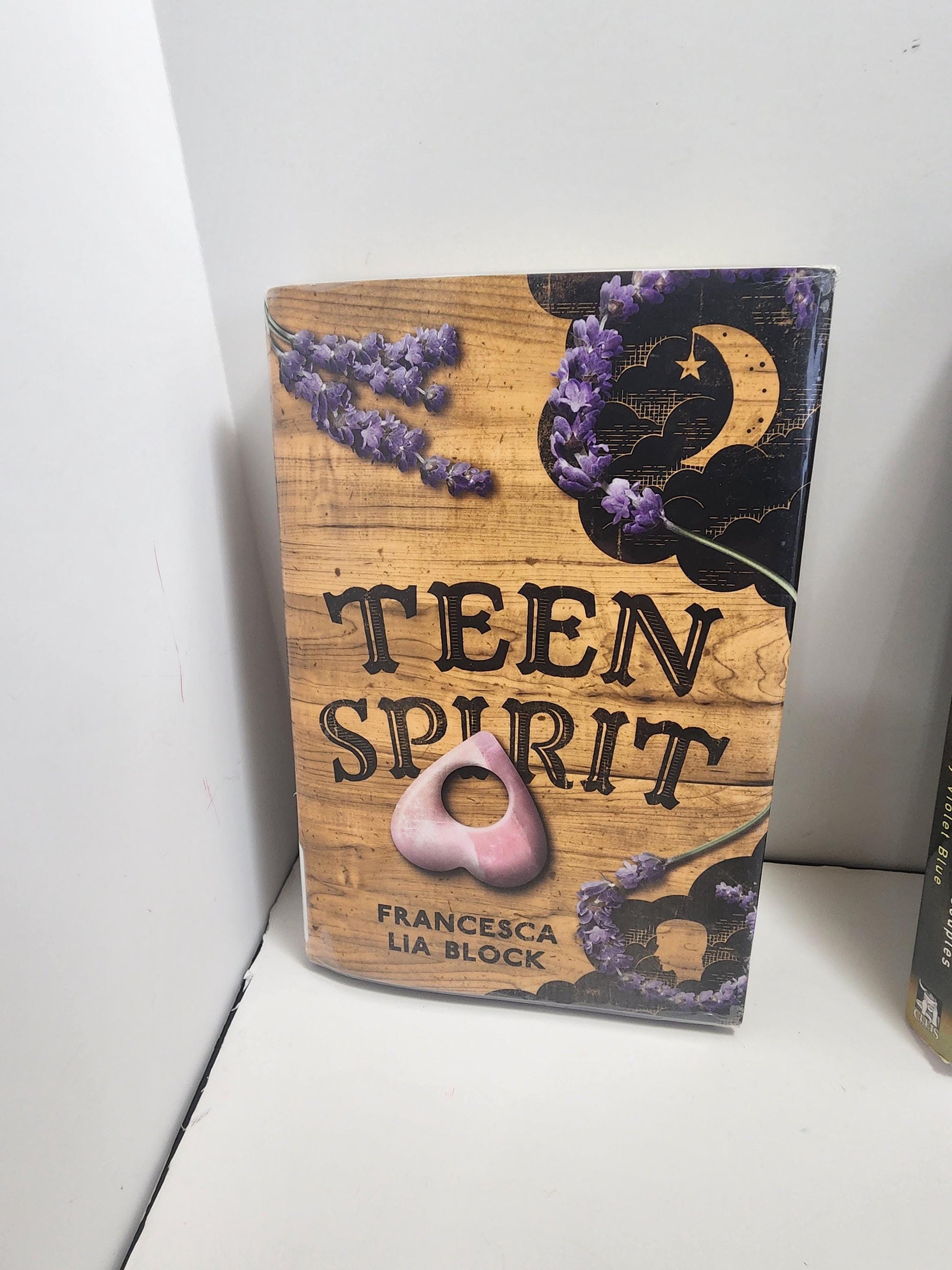 Teen Spirit By Francesca Lia Block - Teen Spirit - Teen Spirit Book - Francesca Lia Block - Francesca Lia Block Books - Teens - Young Adult