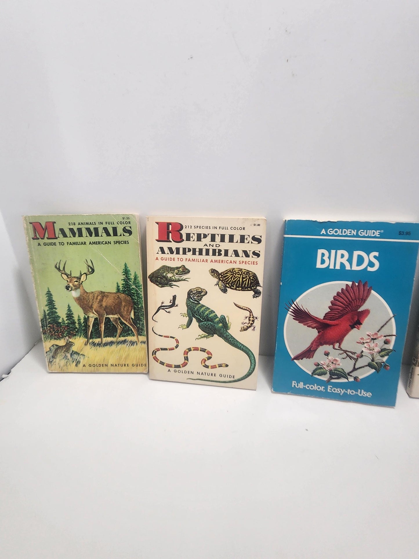 1950s Vintage Animal Guide & Information Books Lot of 5 - Animals - Animal Books - Vintage Books - Animal Gift - Birds - Reptiles