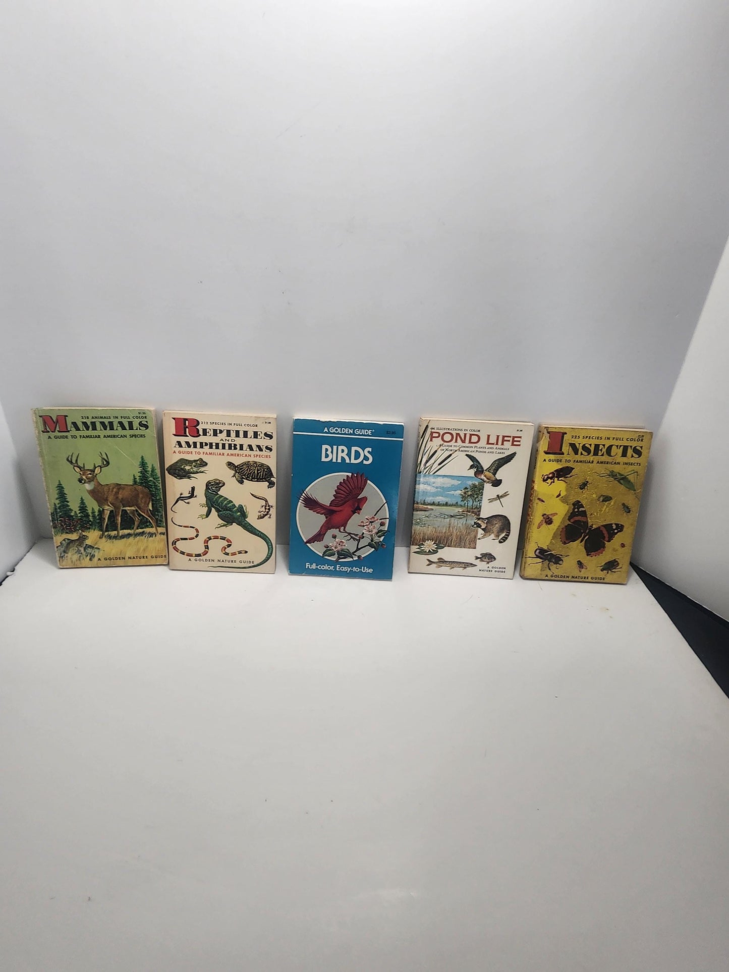 1950s Vintage Animal Guide & Information Books Lot of 5 - Animals - Animal Books - Vintage Books - Animal Gift - Birds - Reptiles