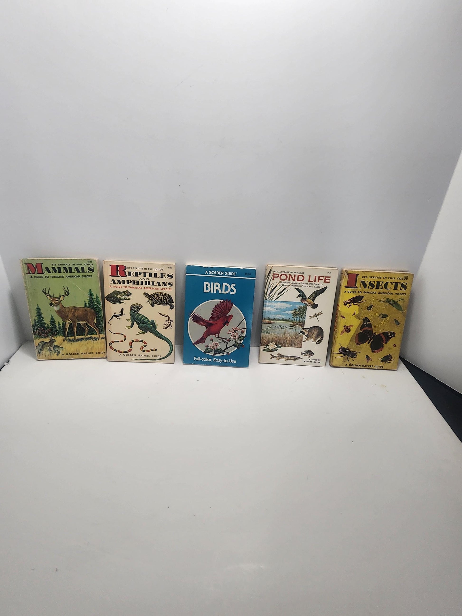 1950s Vintage Animal Guide & Information Books Lot of 5 - Animals - Animal Books - Vintage Books - Animal Gift - Birds - Reptiles