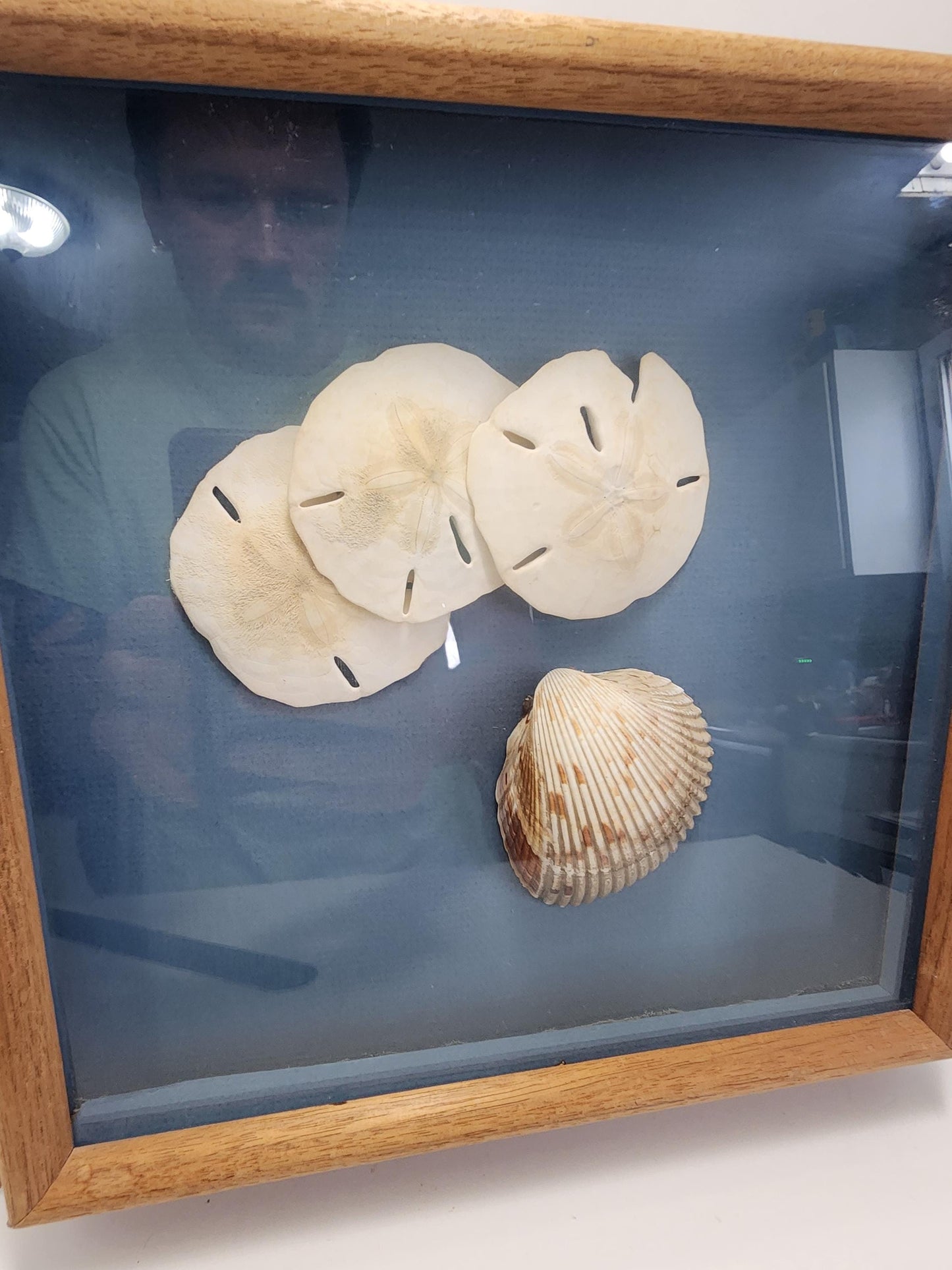 Seashell StarFish Decor Wall Hanging Piece - Seashells - Sea - Ocean - Beach Decor - Beach House - Star Fish - StarFish - Ocean Gift