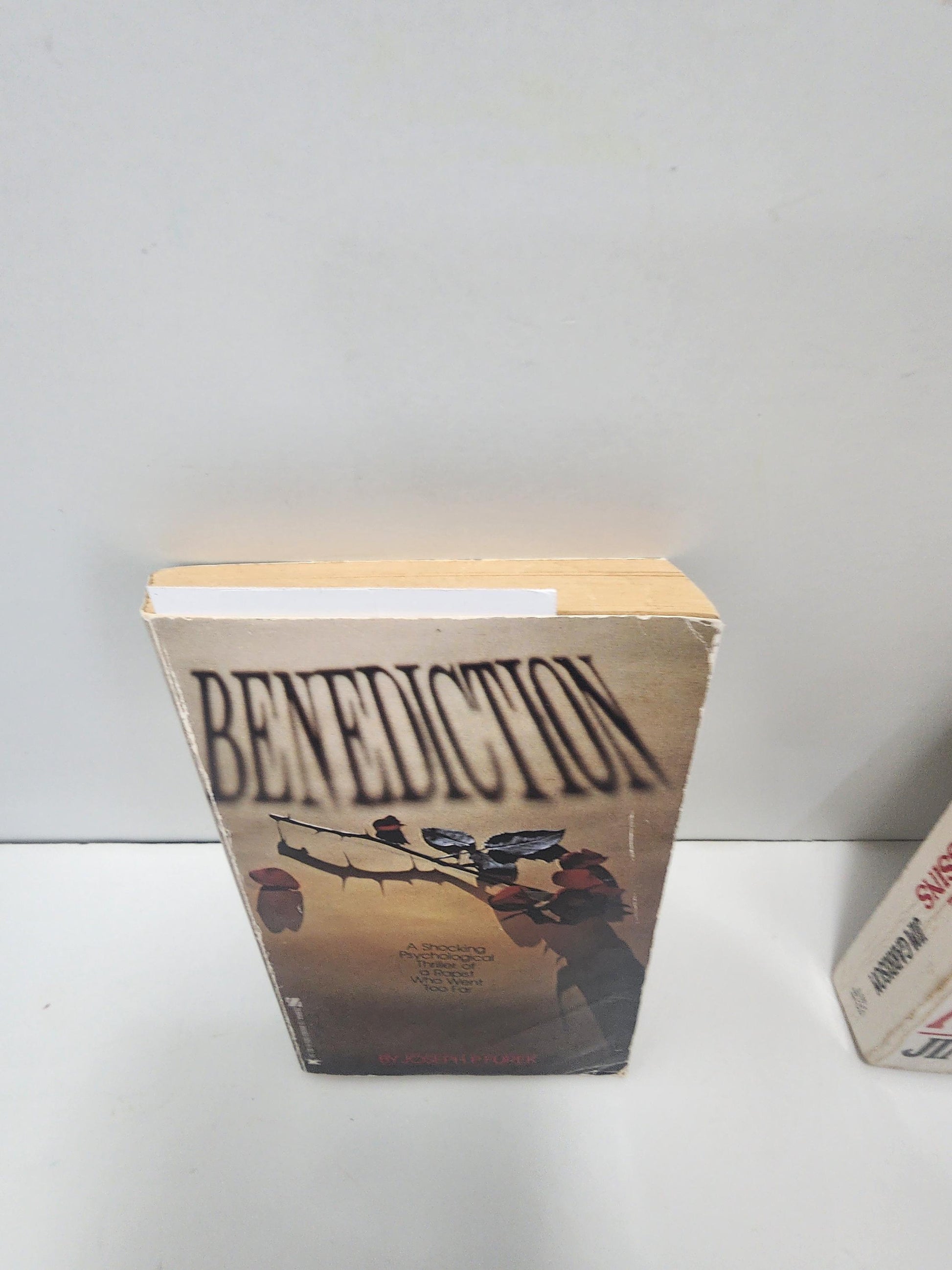 1979 RARE Out Of Print Benediction By Joseph P. Furek - 1970s - 1970 Books - Rare Books - Benediction - Benediction Book - Out Of Print Boo