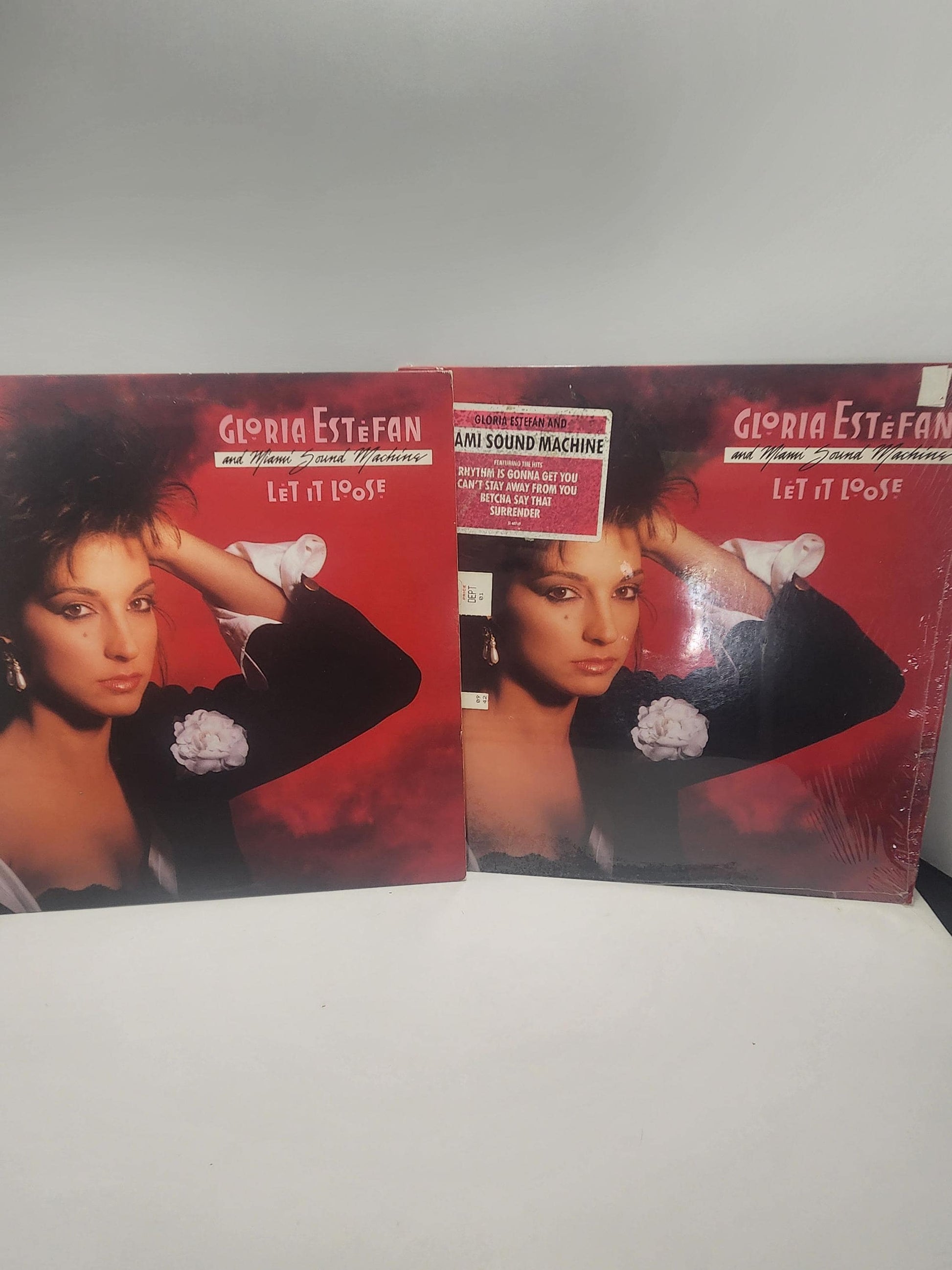 Gloria Estefan 1987 Let It Loose Vinyl Record - Gloria Estefan - 1980s - Vinyl - Records - Let It Loose - Vintage Records