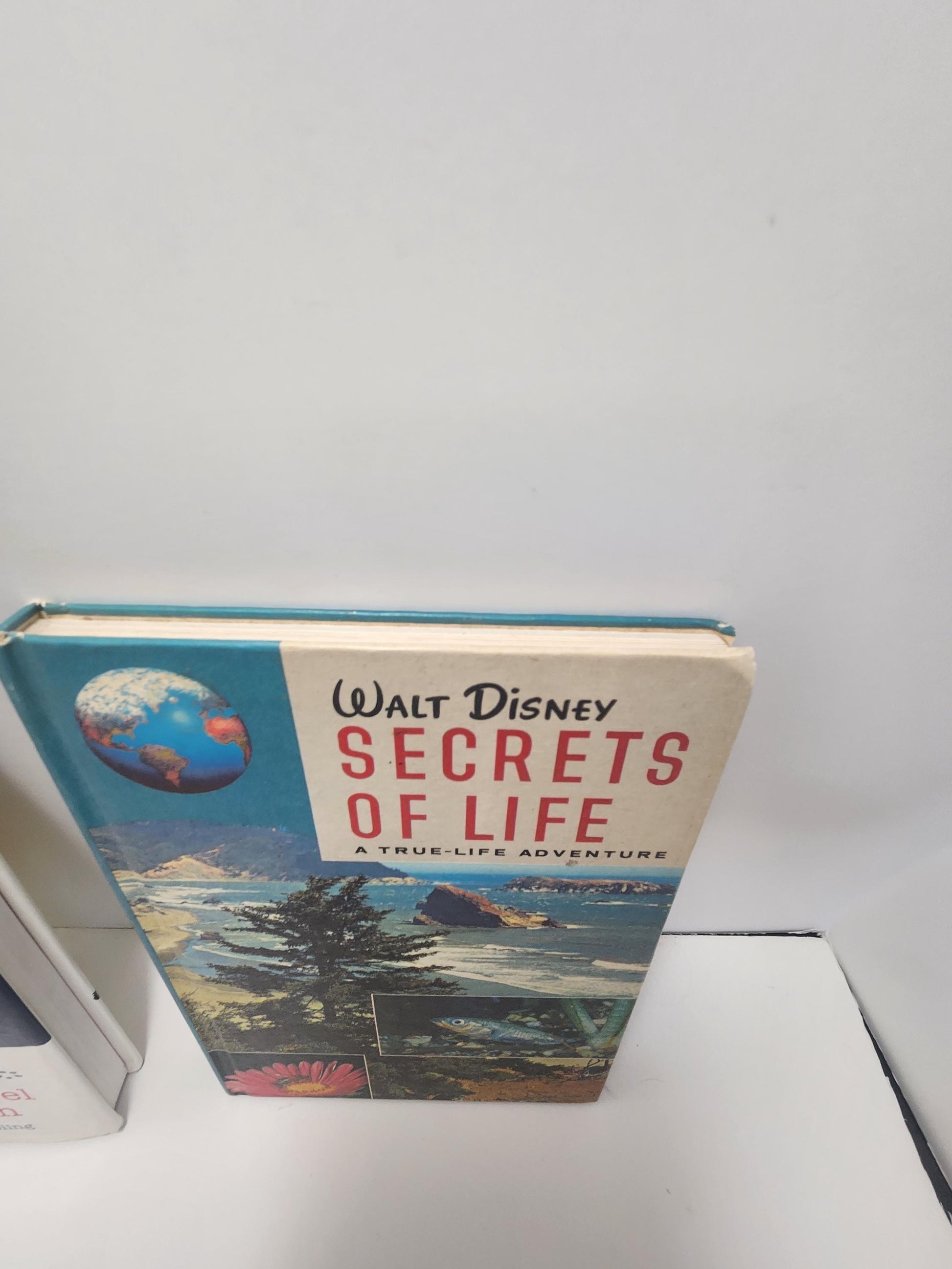1980s RARE Walt Disney Books - 101 Dalmations - 101 Dalmations Books - The Secret Life Of Walt Disney - Walt Disney - Disney Books