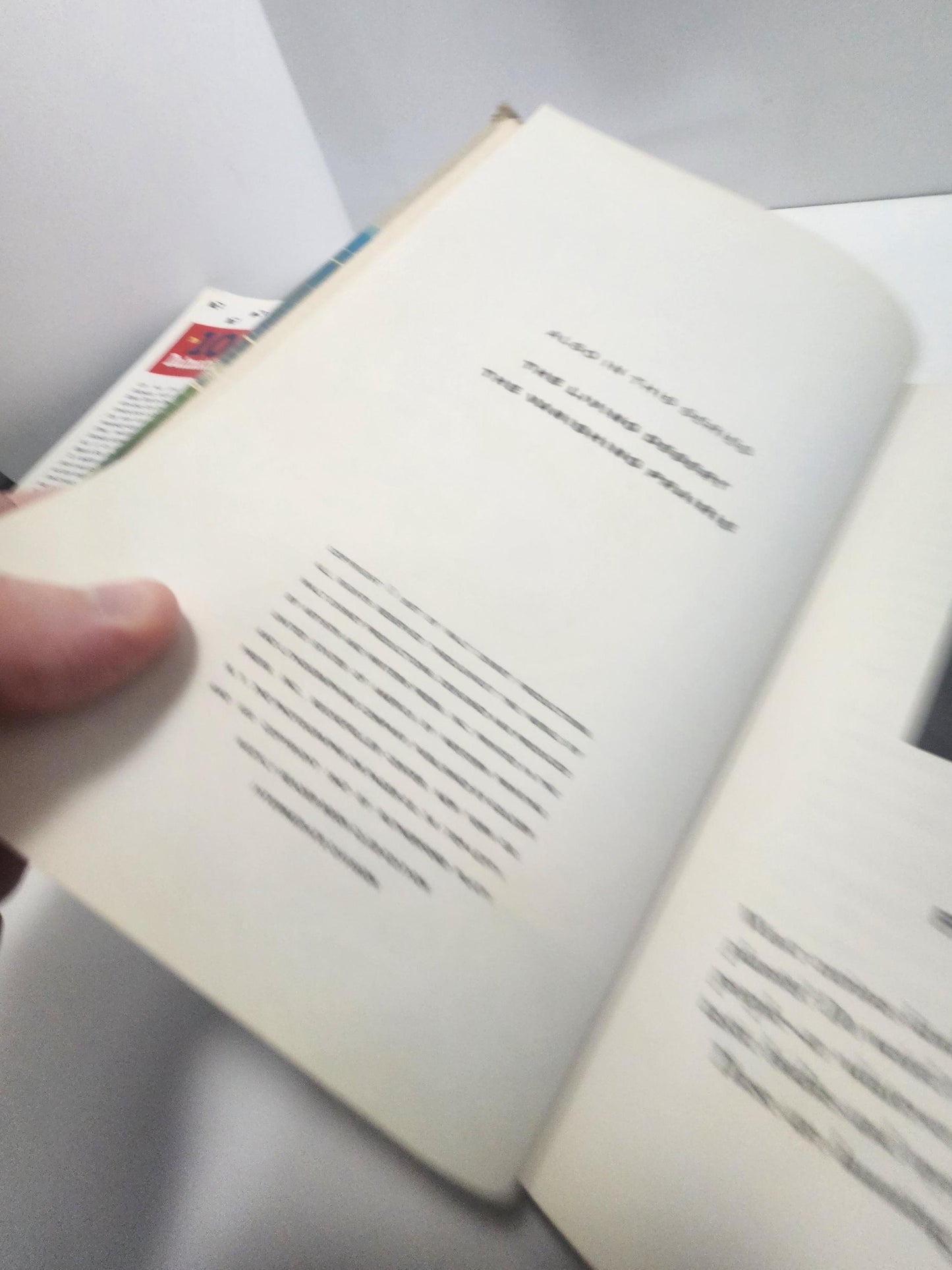 1980s RARE Walt Disney Books - 101 Dalmations - 101 Dalmations Books - The Secret Life Of Walt Disney - Walt Disney - Disney Books