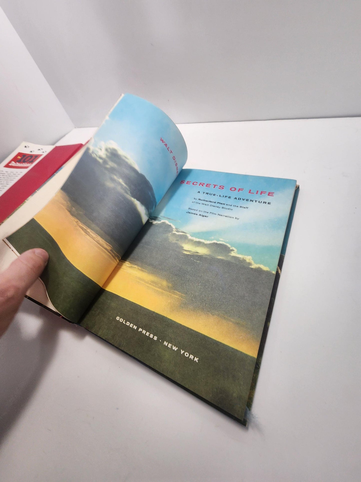 1980s RARE Walt Disney Books - 101 Dalmations - 101 Dalmations Books - The Secret Life Of Walt Disney - Walt Disney - Disney Books