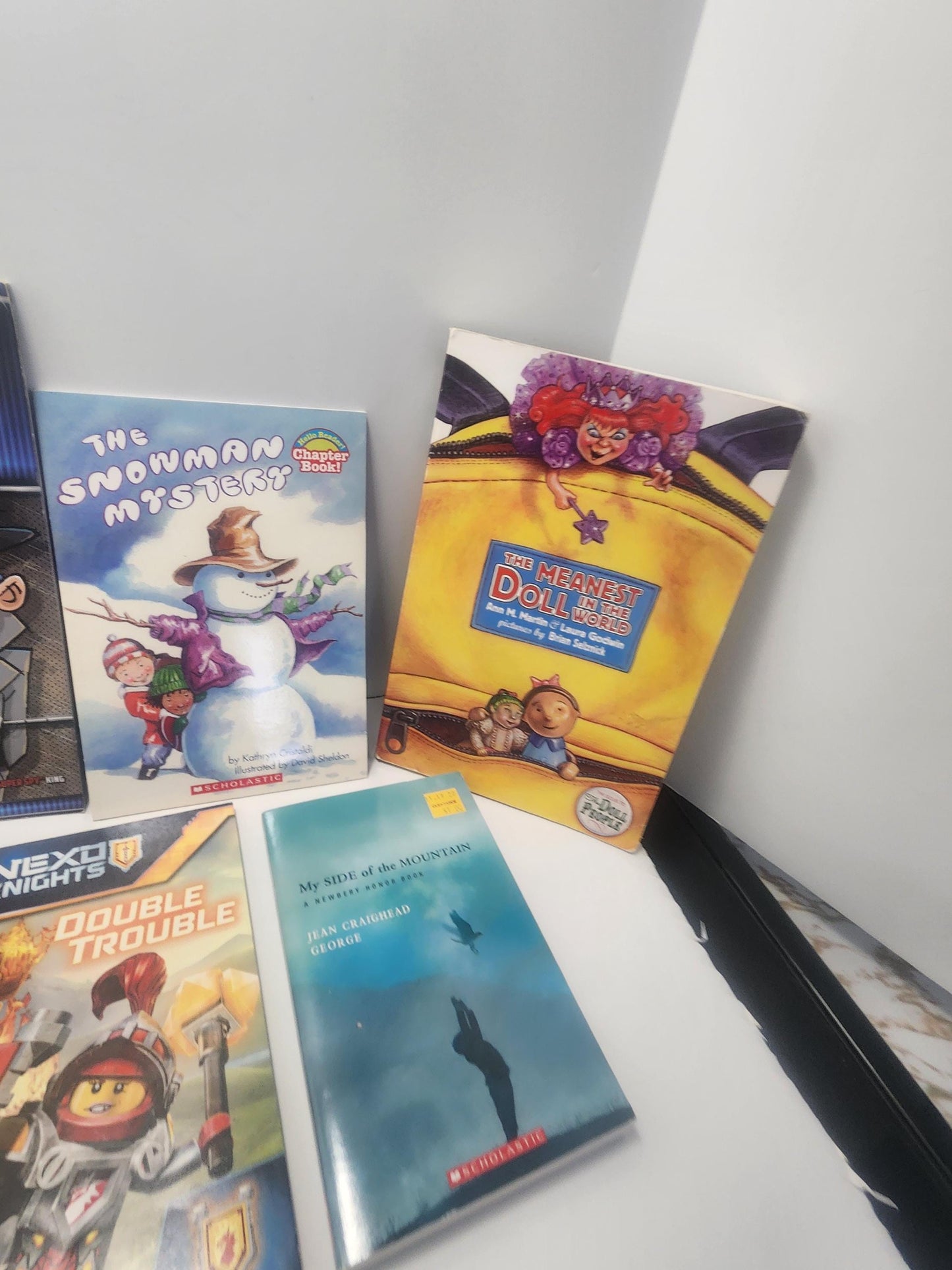 Childrens Scholastic Books Lot of 12 - Scholastic - Kids Books - Books - Book Lots - Scholastic Books - Children's Books