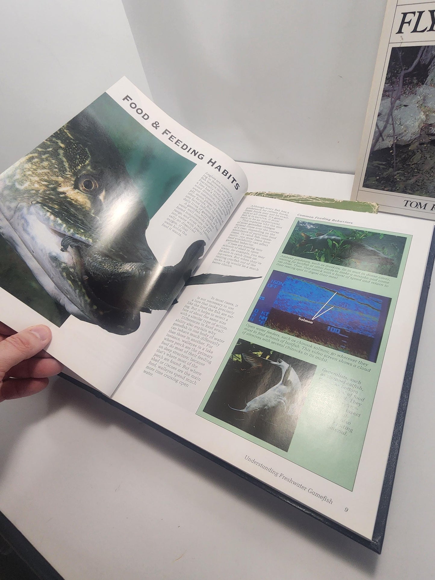 Fishing Books Vintage Lot of 3 - Fisherman - Fishing - Giff For Fisherman - Fly Fishing - Fresh Water Fish - Animals - Animal Books