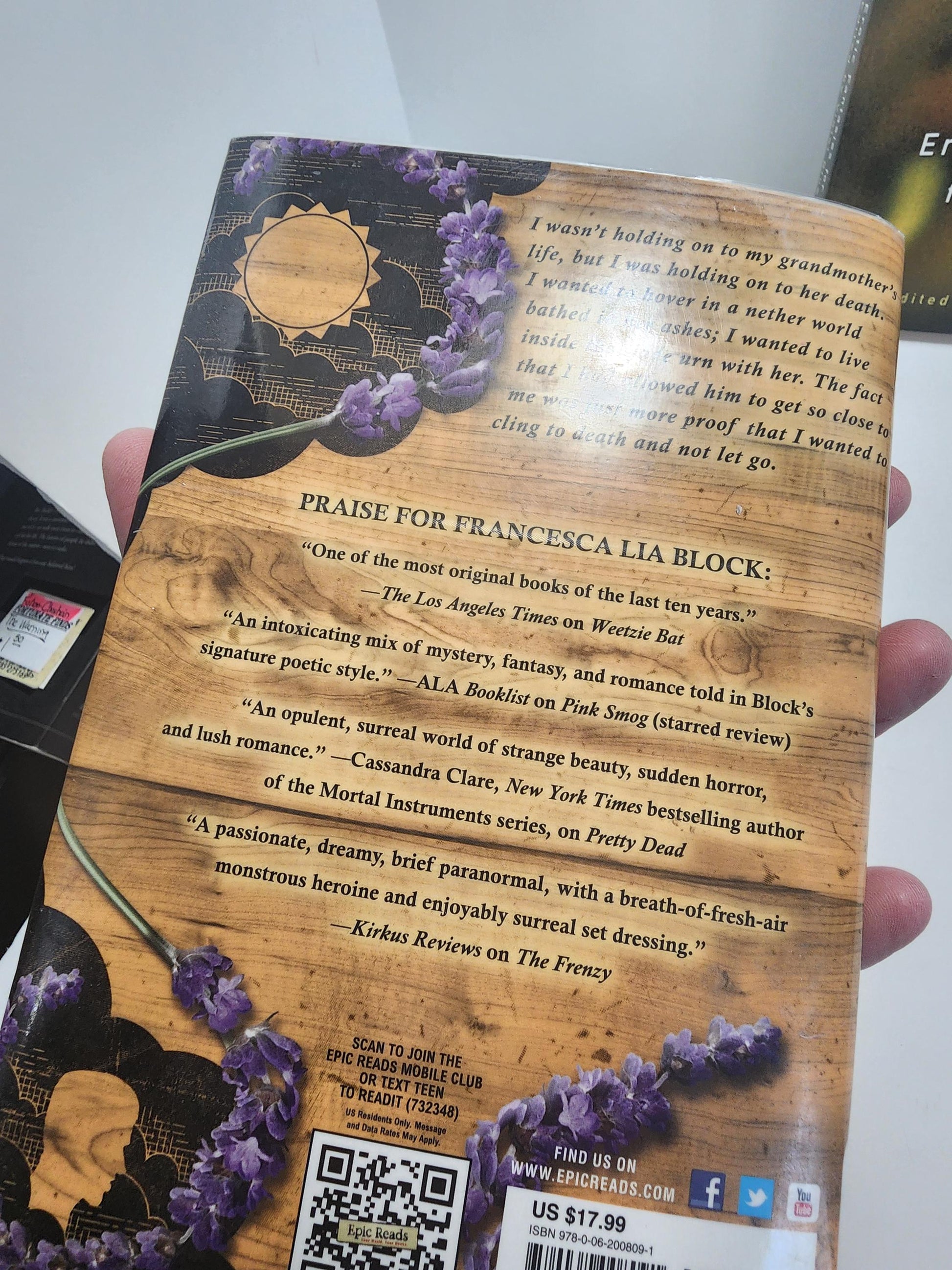 Teen Spirit By Francesca Lia Block - Teen Spirit - Teen Spirit Book - Francesca Lia Block - Francesca Lia Block Books - Teens - Young Adult