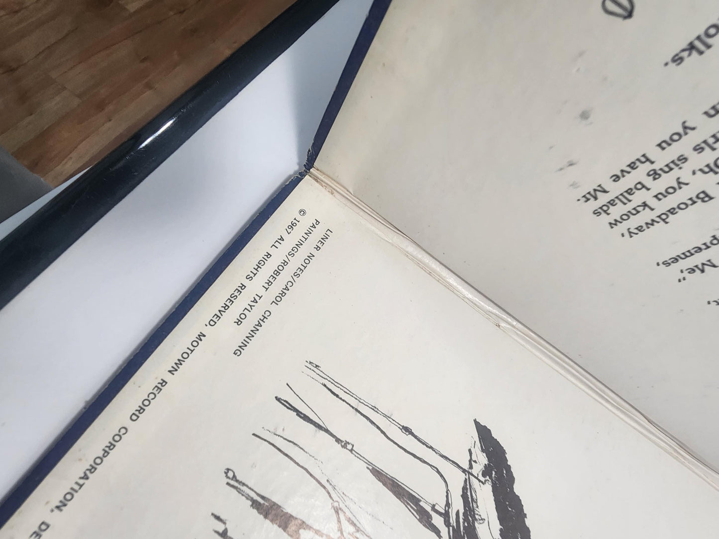 Diana Ross & The Supremes Vintage Vinyl Record LOT - Diana Ross - The Supremes - Vinyl - Records - LP - Vinyl Records - Music - Record Lot