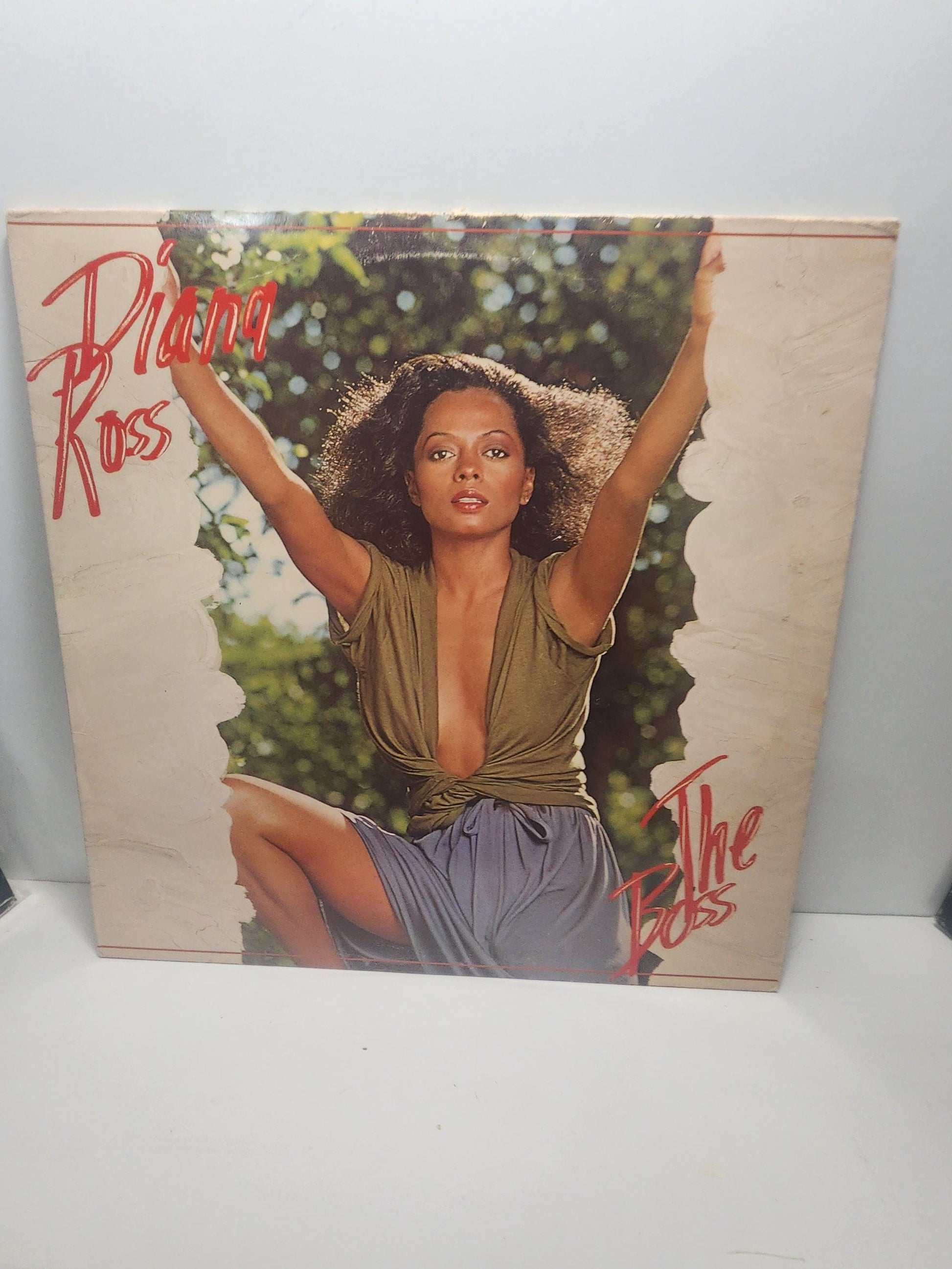 Diana Ross & The Supremes Vintage Vinyl Record LOT - Diana Ross - The Supremes - Vinyl - Records - LP - Vinyl Records - Music - Record Lot
