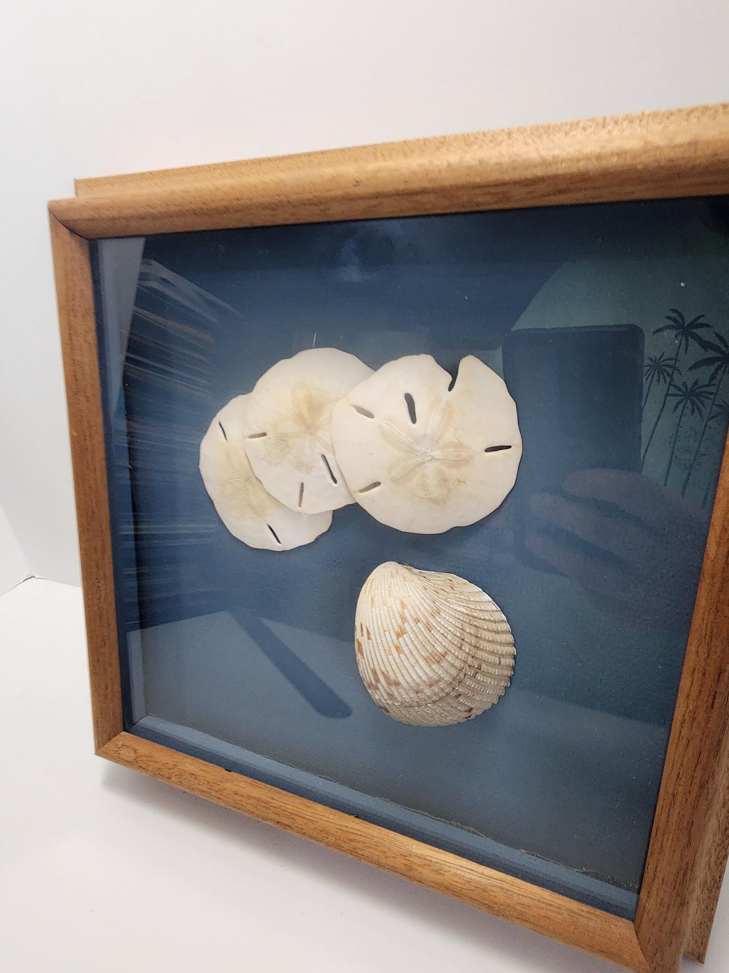 Seashell StarFish Decor Wall Hanging Piece - Seashells - Sea - Ocean - Beach Decor - Beach House - Star Fish - StarFish - Ocean Gift