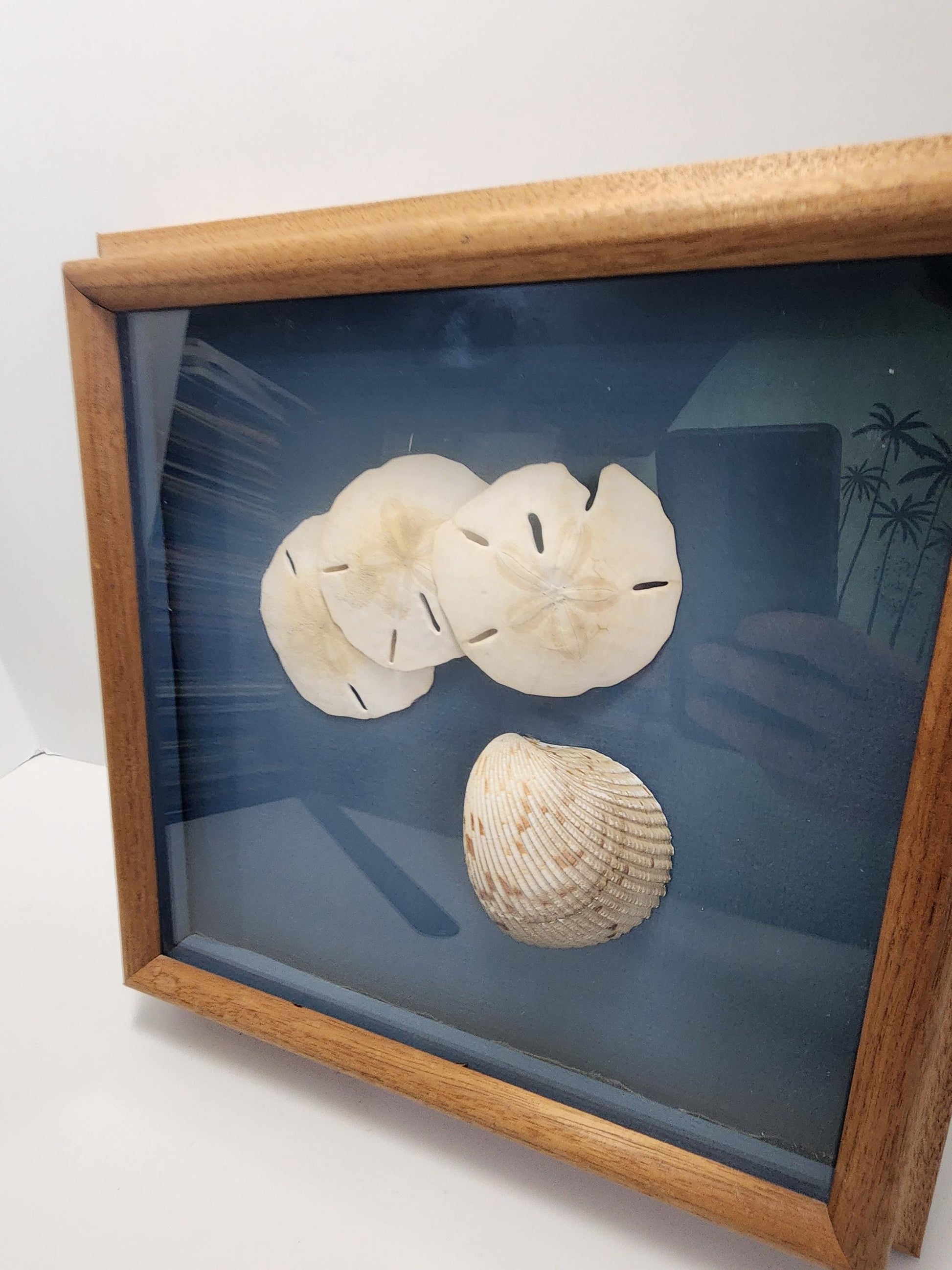 Seashell StarFish Decor Wall Hanging Piece - Seashells - Sea - Ocean - Beach Decor - Beach House - Star Fish - StarFish - Ocean Gift