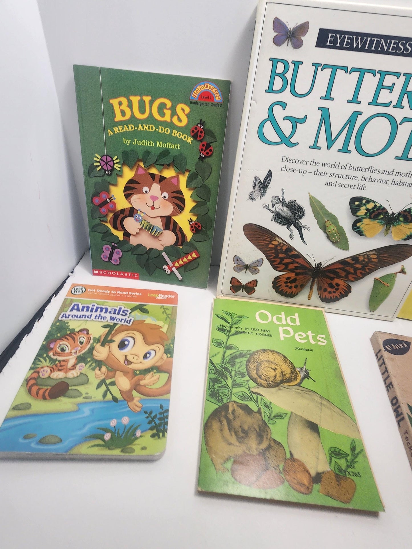 Insects and Bugs Children's Books Vintage LOT - Books - Children's Books - Butterflies - Bugs - Insects