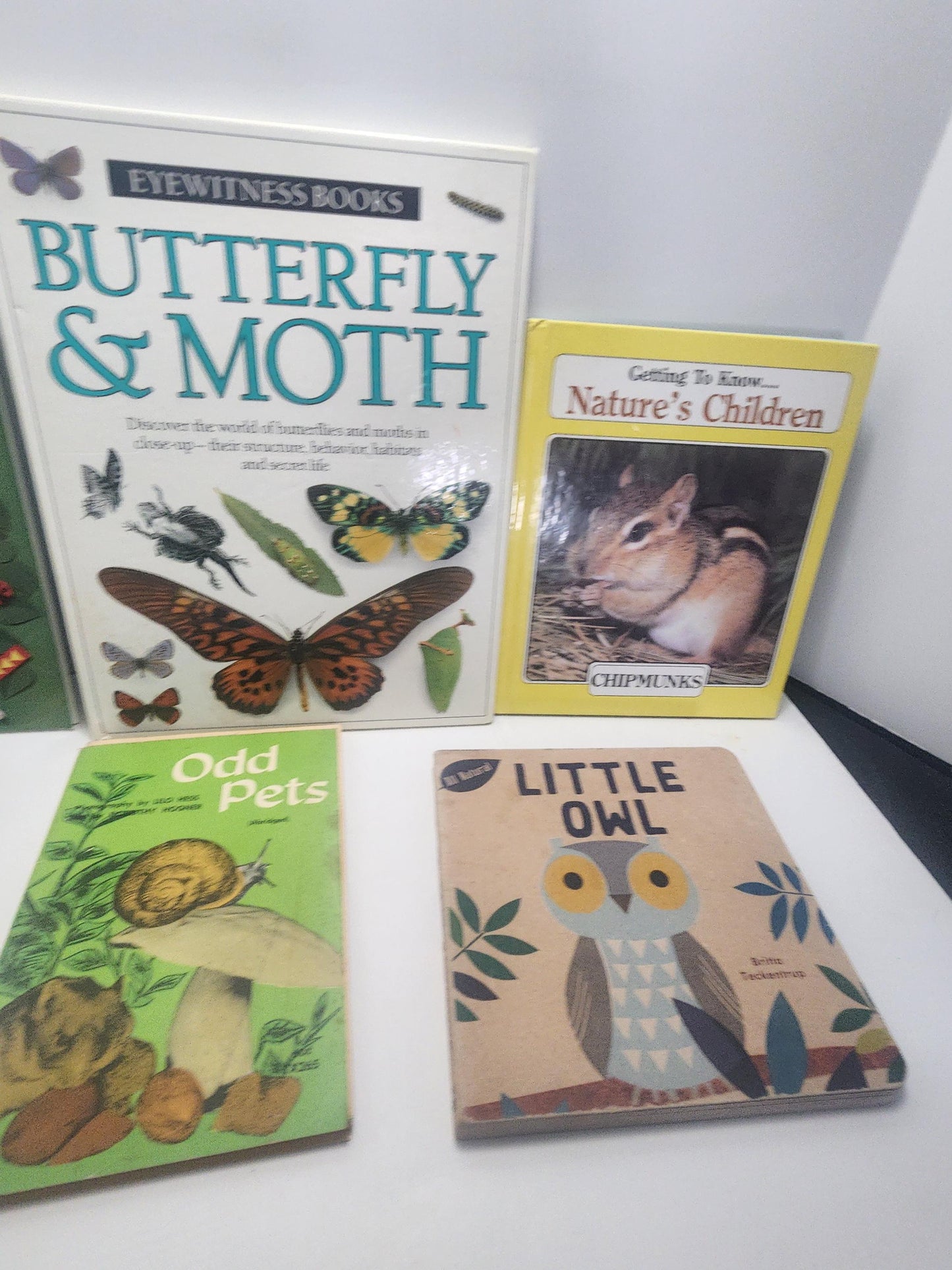 Insects and Bugs Children's Books Vintage LOT - Books - Children's Books - Butterflies - Bugs - Insects