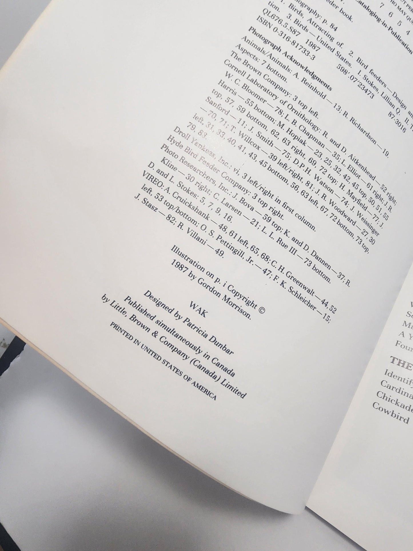 The Treasury Of Books Lot of 3 Bird Books - The Bird Feeder Book - Books - Birds - Birds Gift - Bird Books - Bird Watcher - Animal Books