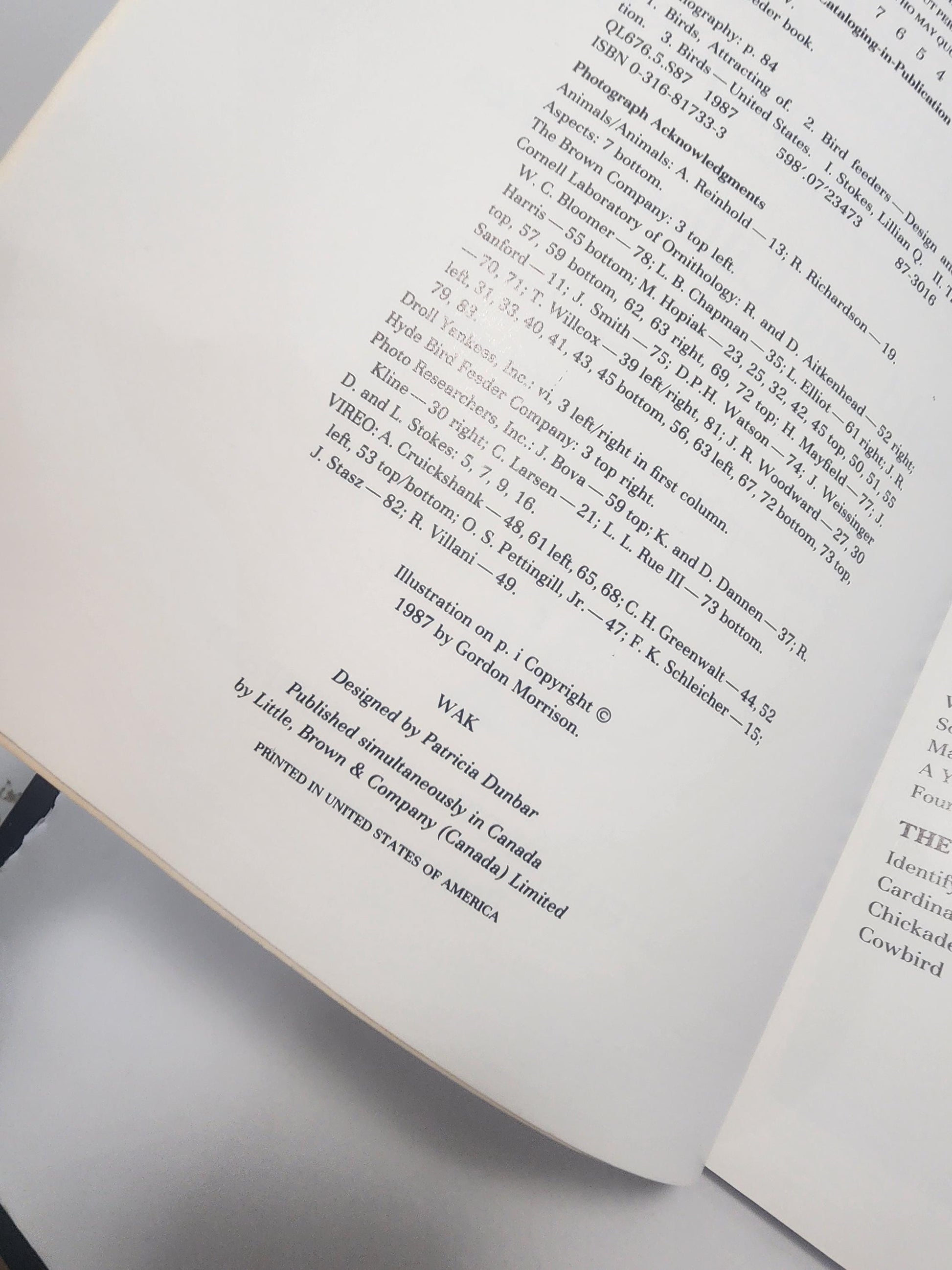 The Treasury Of Books Lot of 3 Bird Books - The Bird Feeder Book - Books - Birds - Birds Gift - Bird Books - Bird Watcher - Animal Books