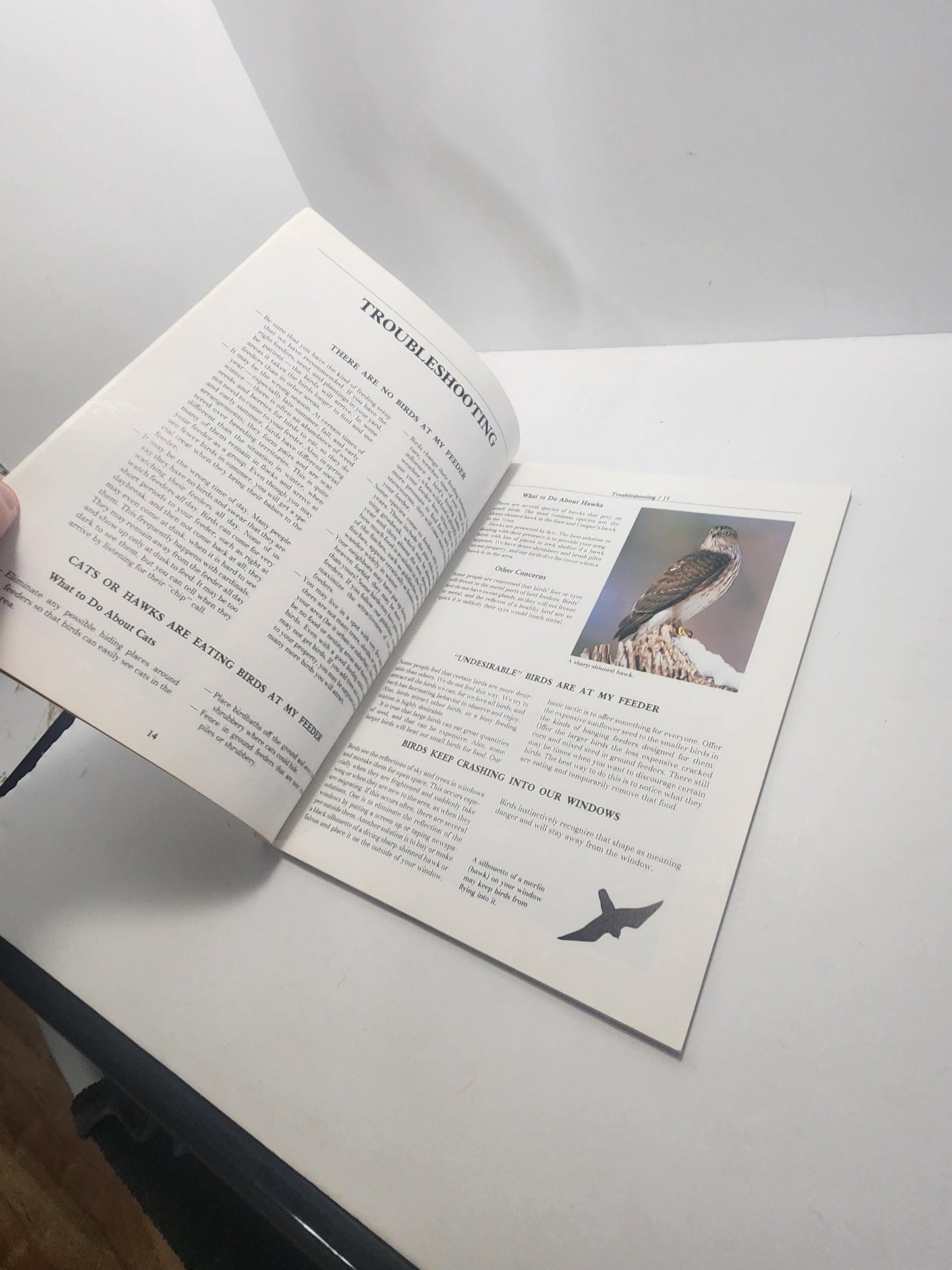 The Treasury Of Books Lot of 3 Bird Books - The Bird Feeder Book - Books - Birds - Birds Gift - Bird Books - Bird Watcher - Animal Books