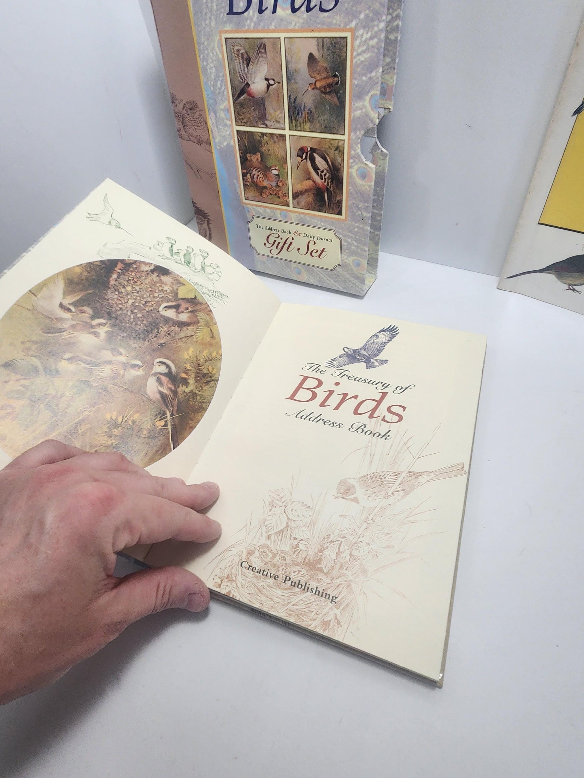 The Treasury Of Books Lot of 3 Bird Books - The Bird Feeder Book - Books - Birds - Birds Gift - Bird Books - Bird Watcher - Animal Books