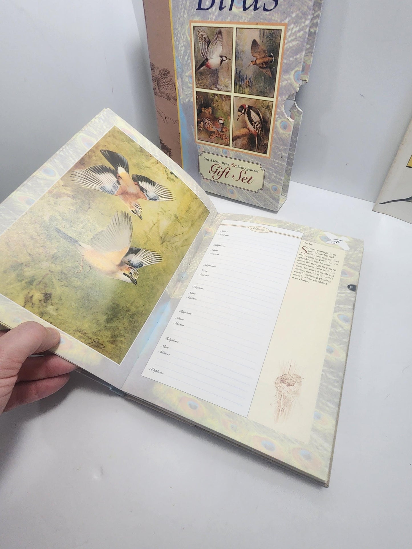 The Treasury Of Books Lot of 3 Bird Books - The Bird Feeder Book - Books - Birds - Birds Gift - Bird Books - Bird Watcher - Animal Books