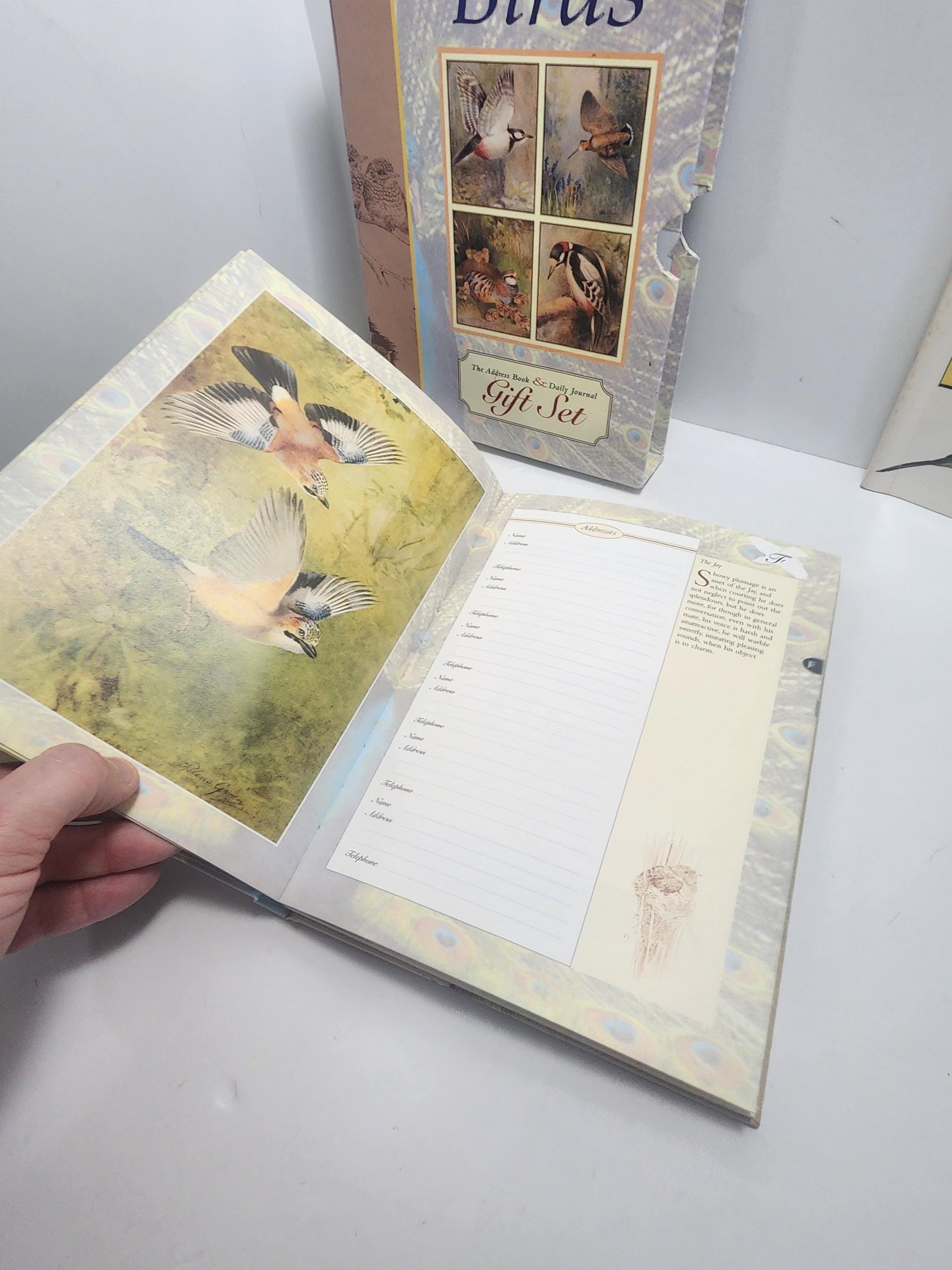 The Treasury Of Books Lot of 3 Bird Books - The Bird Feeder Book - Books - Birds - Birds Gift - Bird Books - Bird Watcher - Animal Books