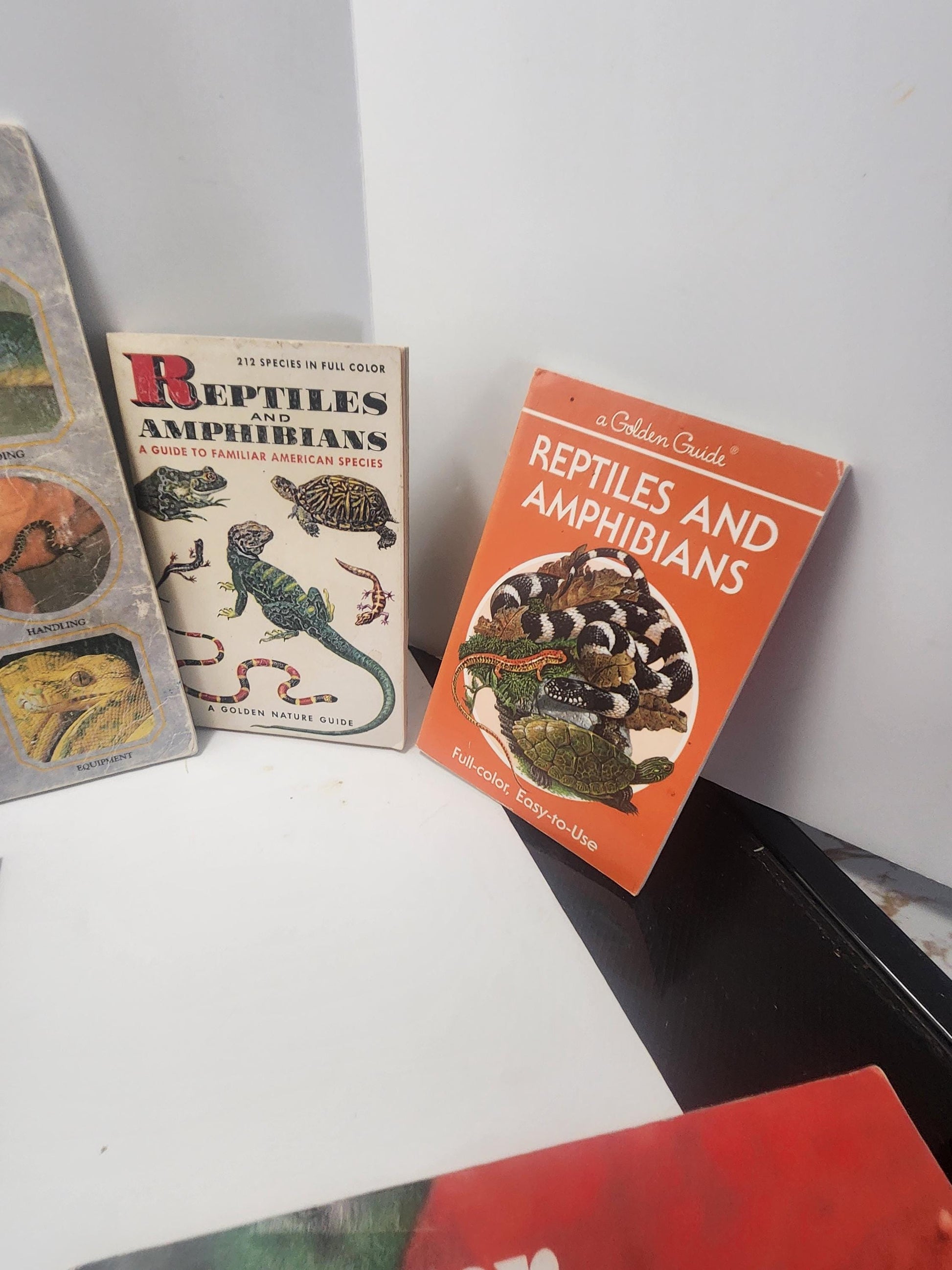 Reptiles Animal Books LOT - Children's Books - Animals - Animal Books - School Books - Educational Books - Reptiles - Reptiles Books