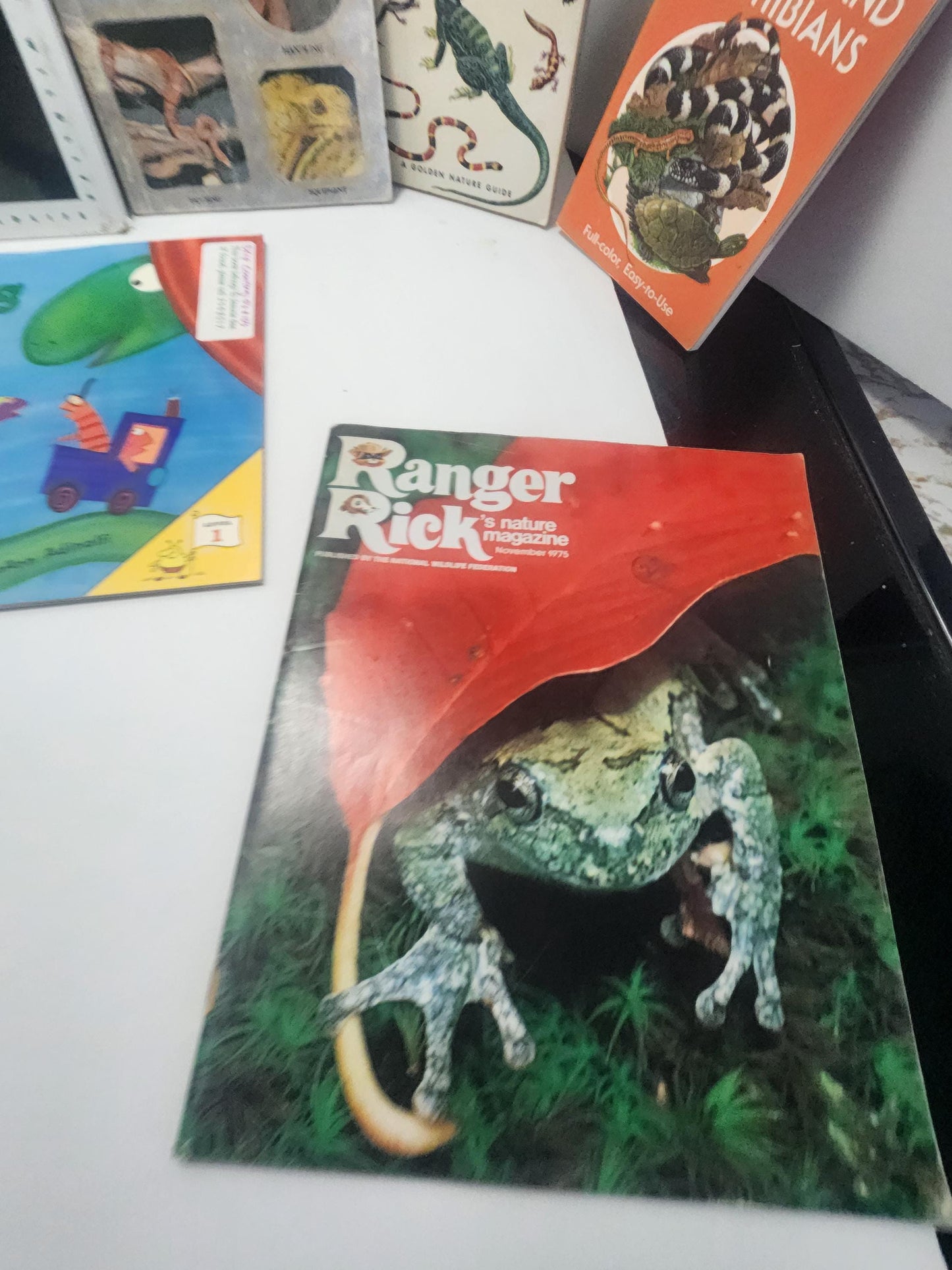 Reptiles Animal Books LOT - Children's Books - Animals - Animal Books - School Books - Educational Books - Reptiles - Reptiles Books