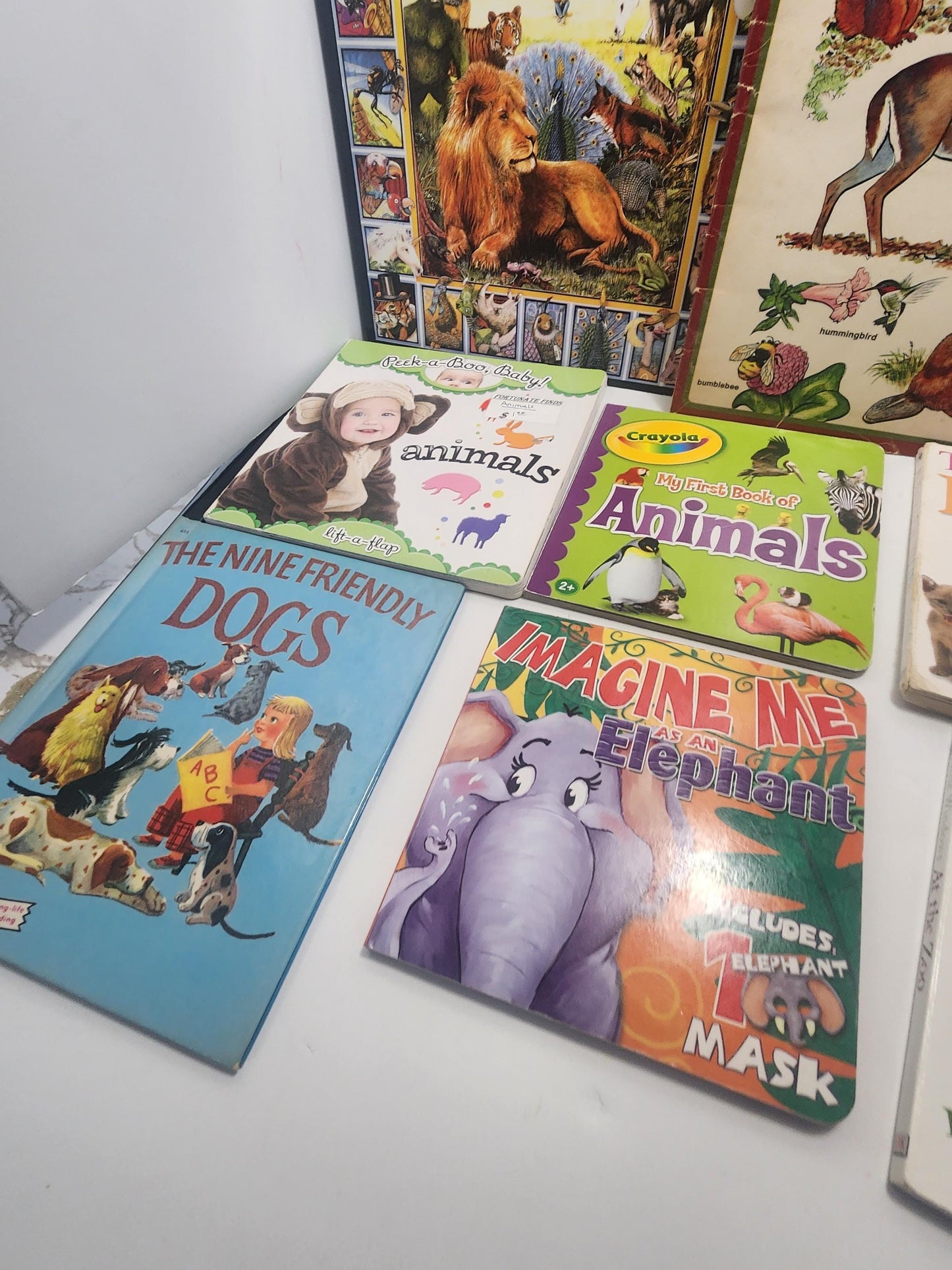 Animal Children's Books LOT - Books - Educational Books - Children's Books - Animals - Cats - School - School Books - Scholastic Books