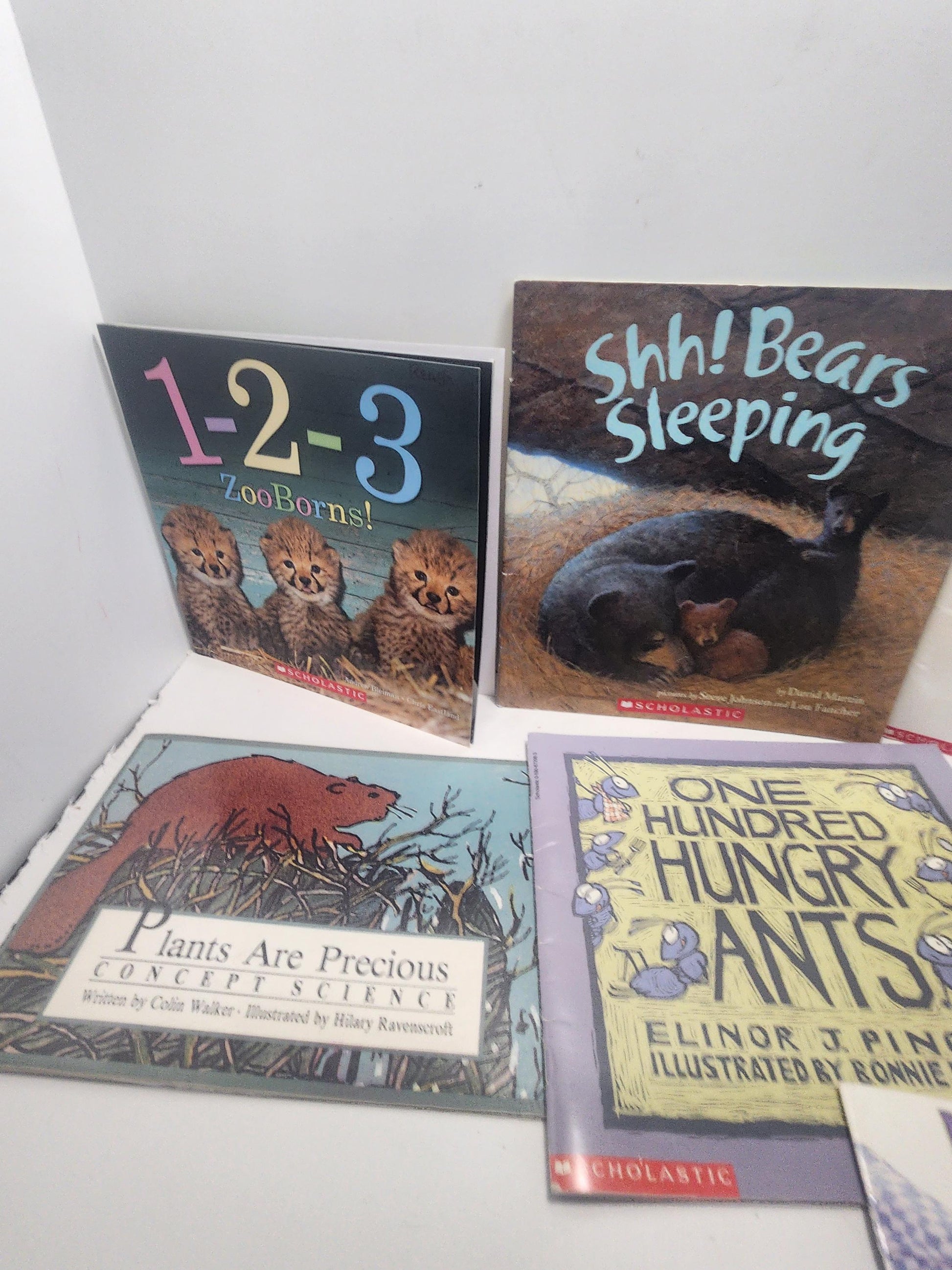 Animal Children's Books LOT - Animals - Animal Books - Scholastic - Scholastic Books - Book Lot - Educational Books - School - Library Books