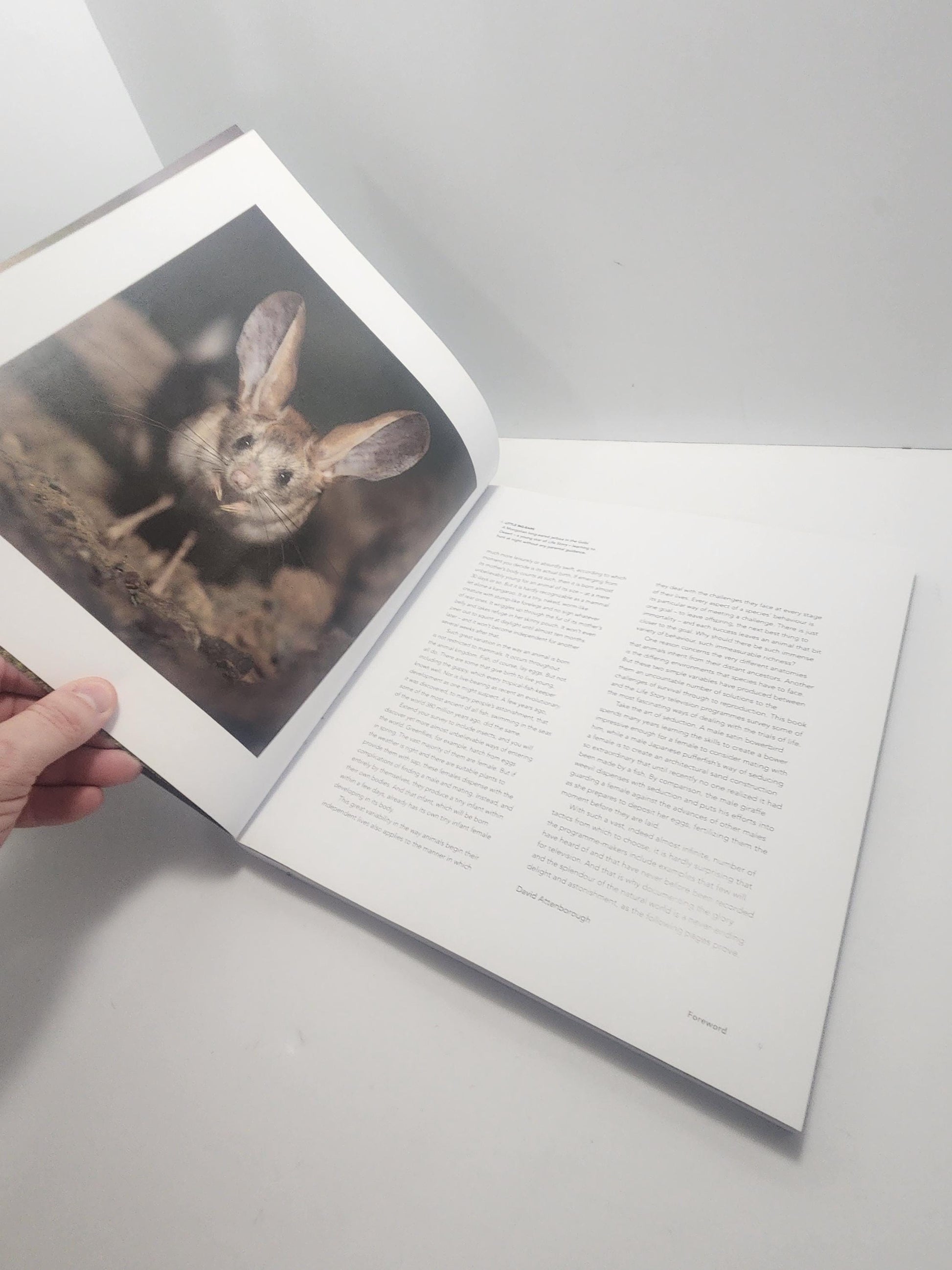 Life Journey, Many Lives One Epic Journey Book - National Geographic - National Geographic Books - Life - Animals - Books - Animal Books