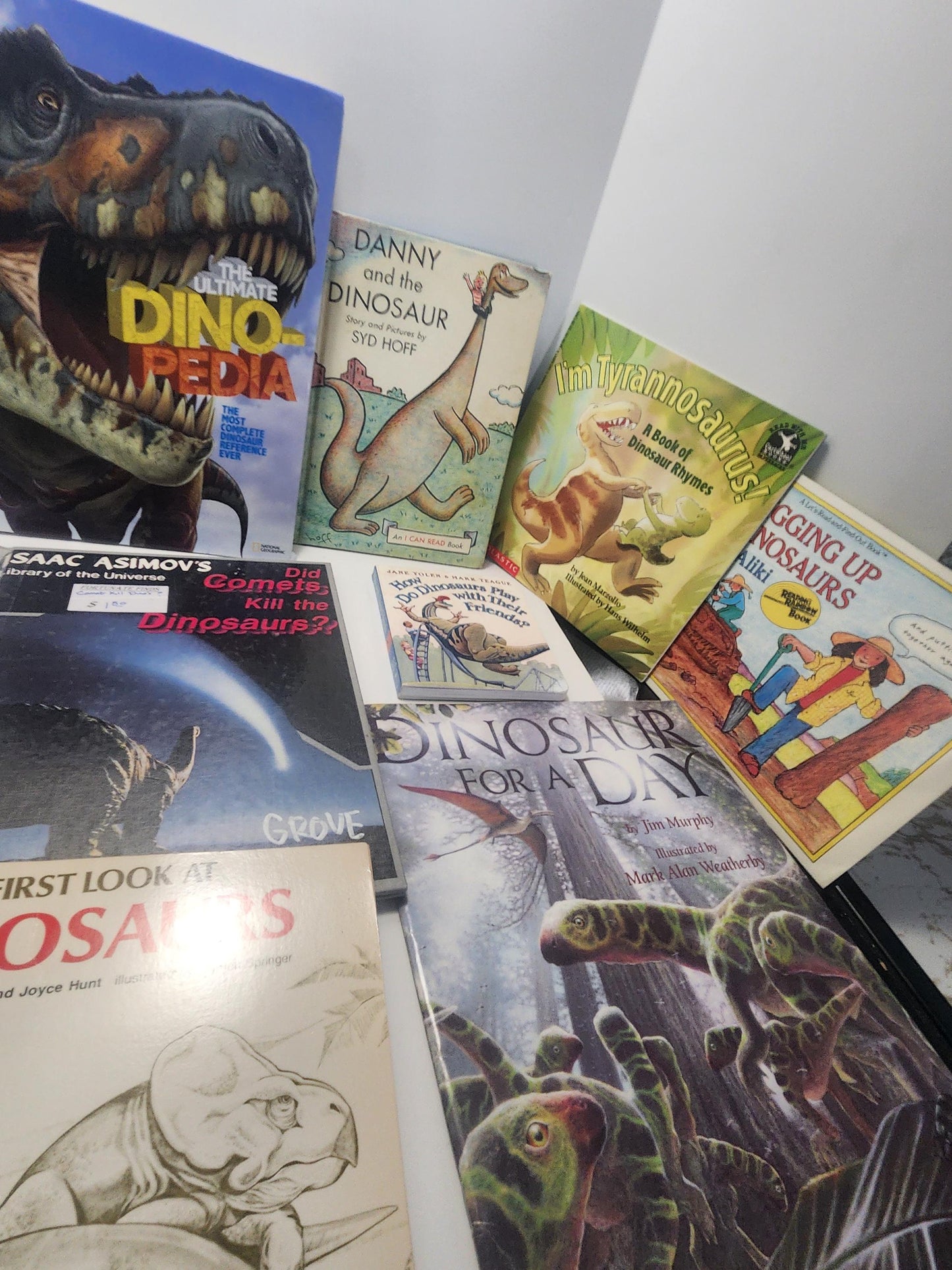 HUGE LOT Of Dinosaur Vintage Children's Books - Books - Dinosaurs - Dinosaur Gift - Dinosaur Books - Educational Books - Animals - Scholasti