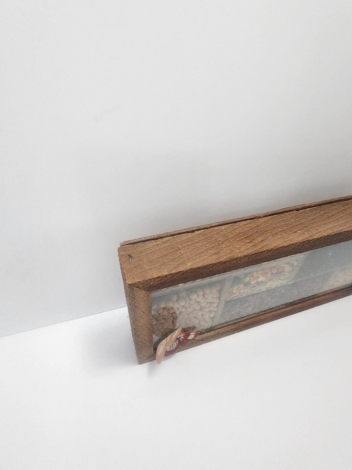 Primitive Seed Vintage ShadowBox Kitchen Decor - Shadow Box - Shadowbox - Seeds - Farming - Farm Decor - Decor - Kitchen - Farm House