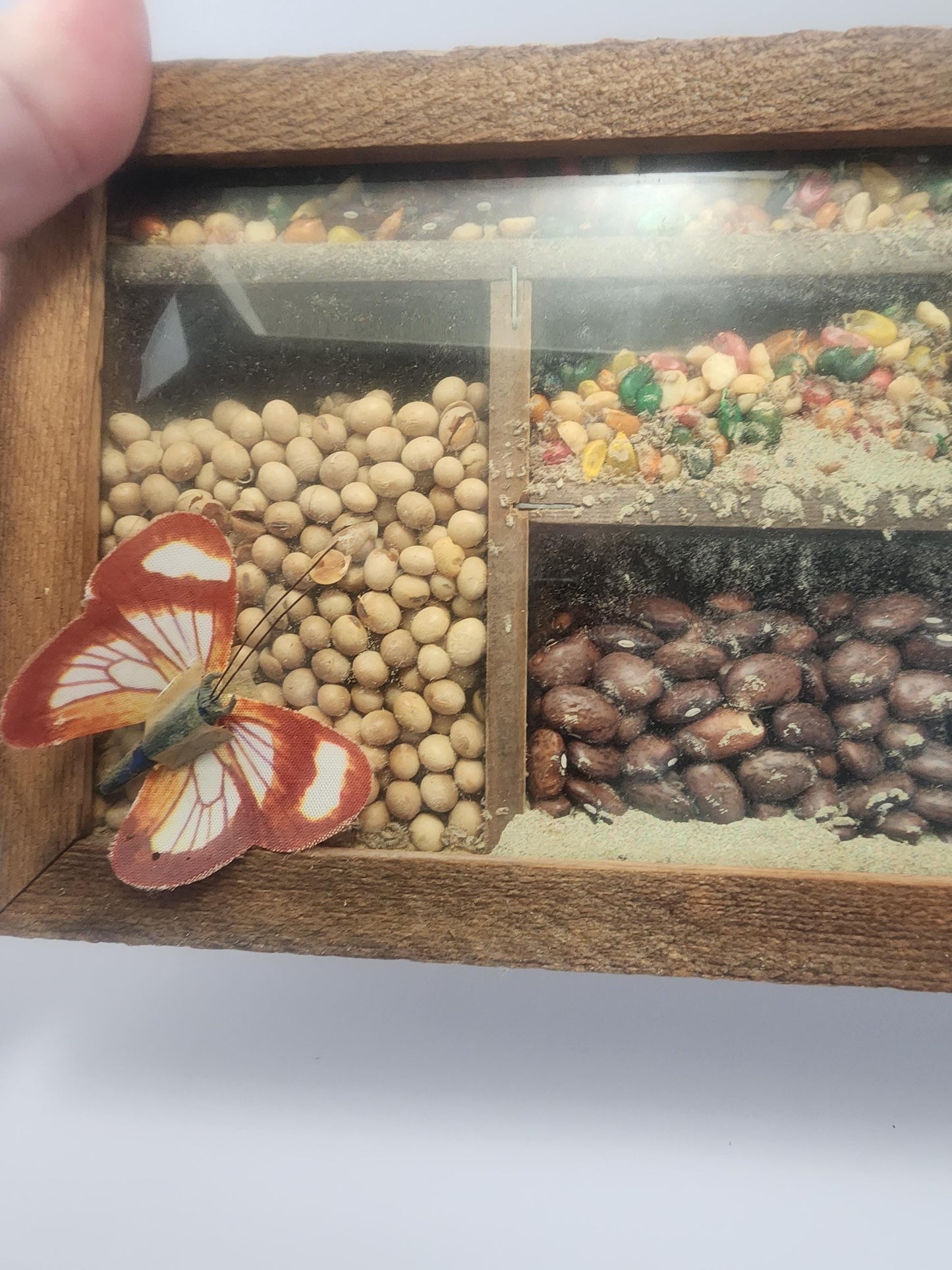 Primitive Seed Vintage ShadowBox Kitchen Decor - Shadow Box - Shadowbox - Seeds - Farming - Farm Decor - Decor - Kitchen - Farm House