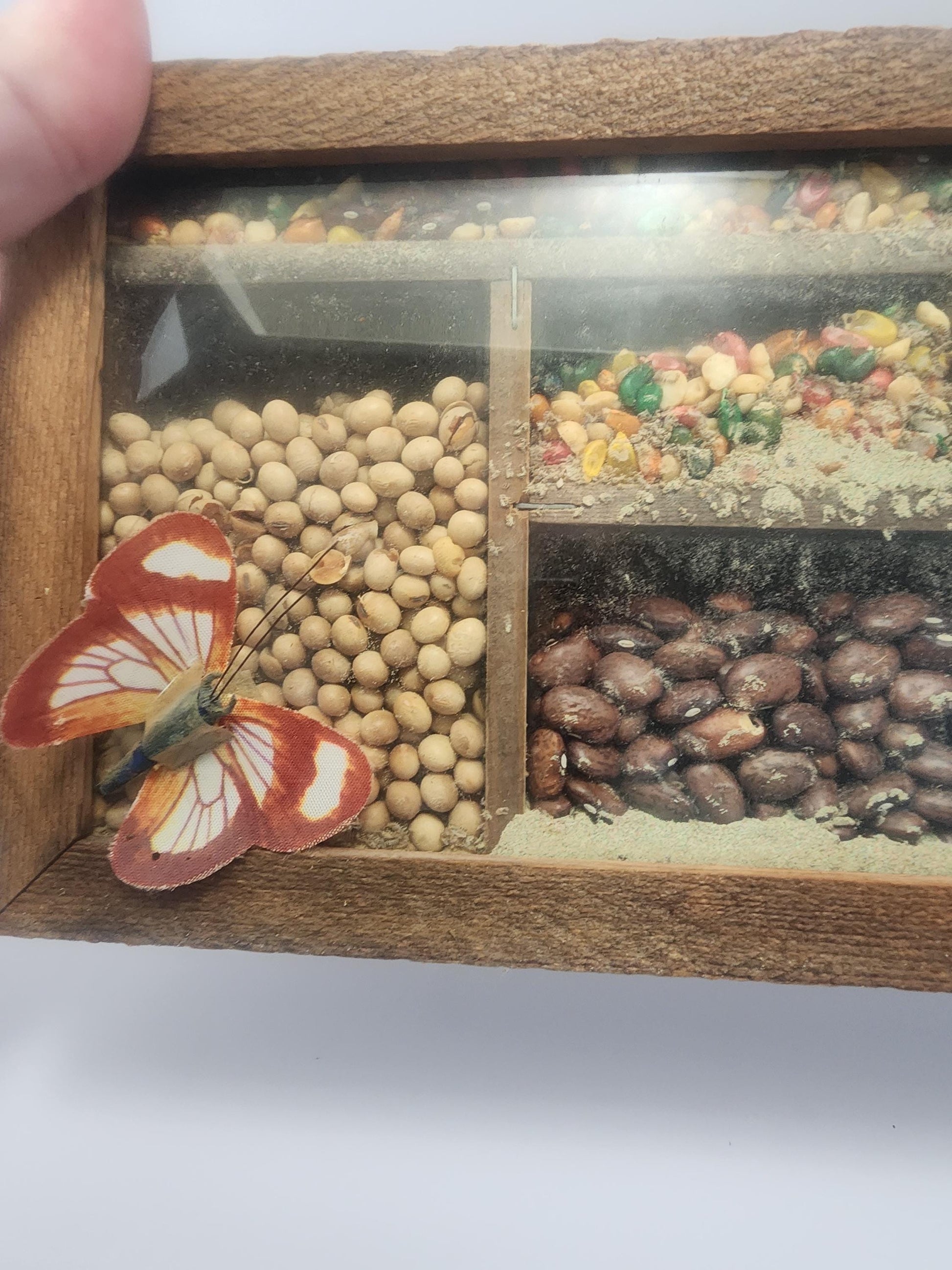 Primitive Seed Vintage ShadowBox Kitchen Decor - Shadow Box - Shadowbox - Seeds - Farming - Farm Decor - Decor - Kitchen - Farm House