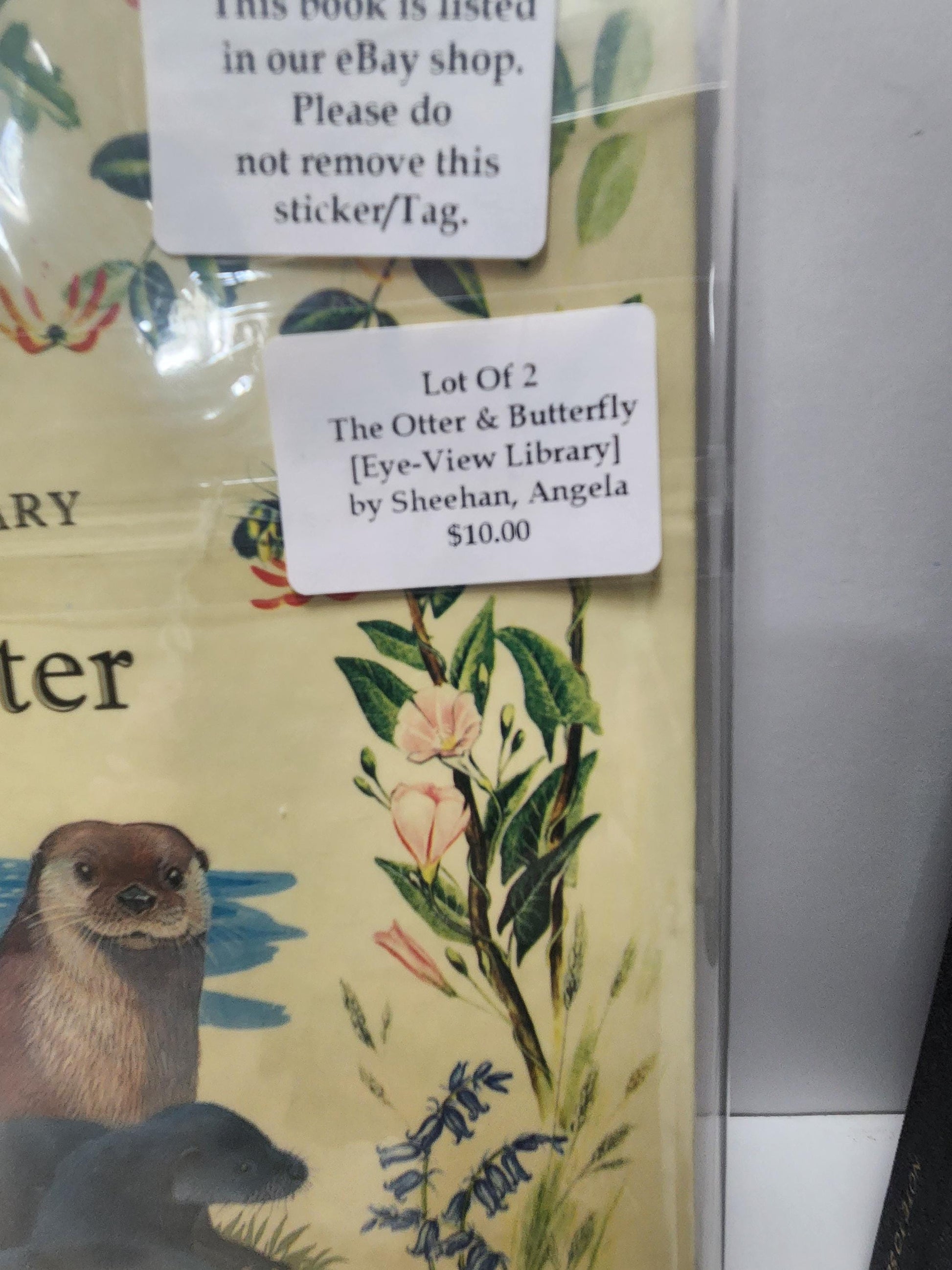 The Otter & The Butterfly LOT of 2 From Eye View Library - Vintage Books - Eye View Library - Animals - Animal Books - Butterflies - Otter