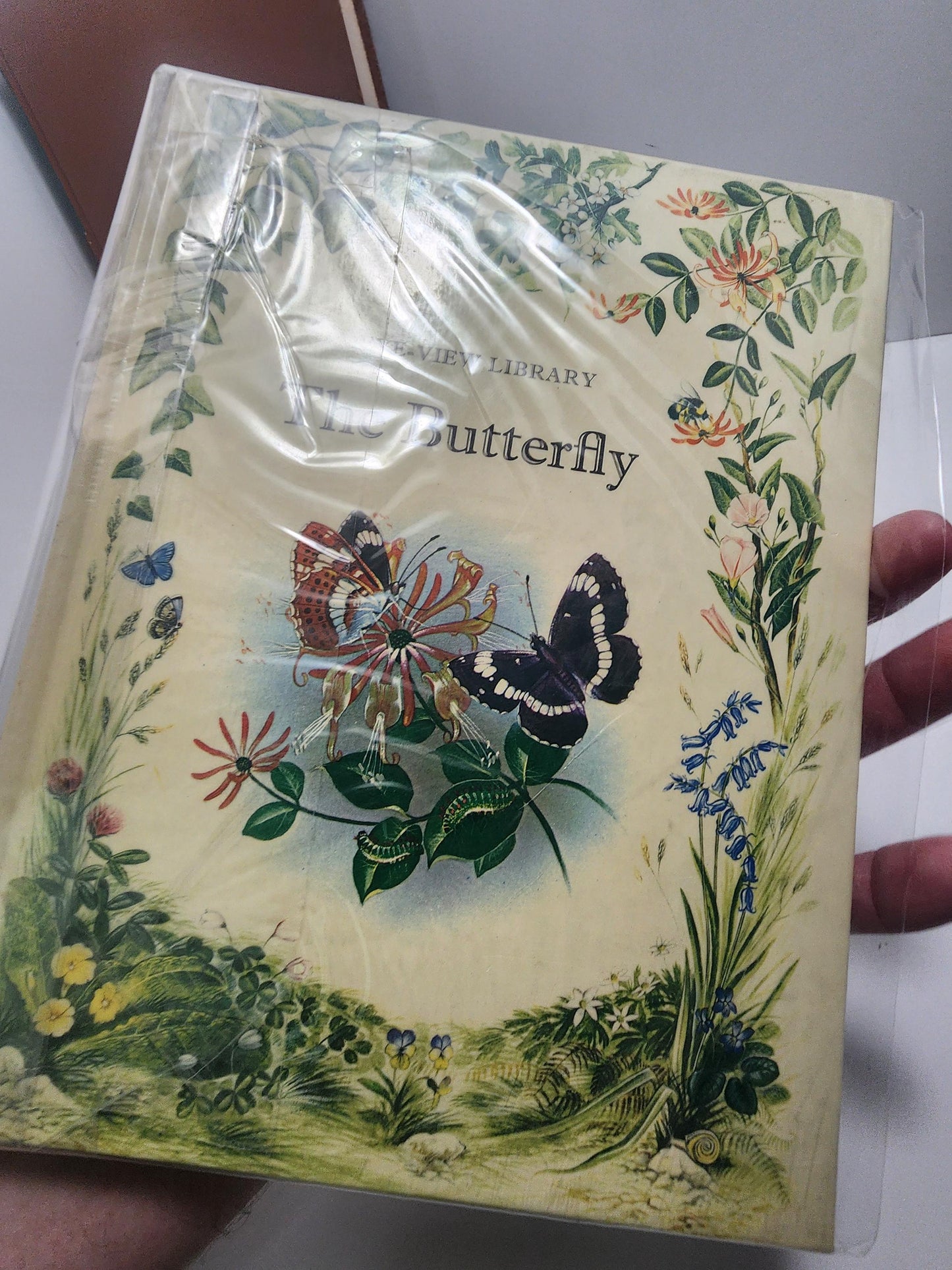 The Otter & The Butterfly LOT of 2 From Eye View Library - Vintage Books - Eye View Library - Animals - Animal Books - Butterflies - Otter