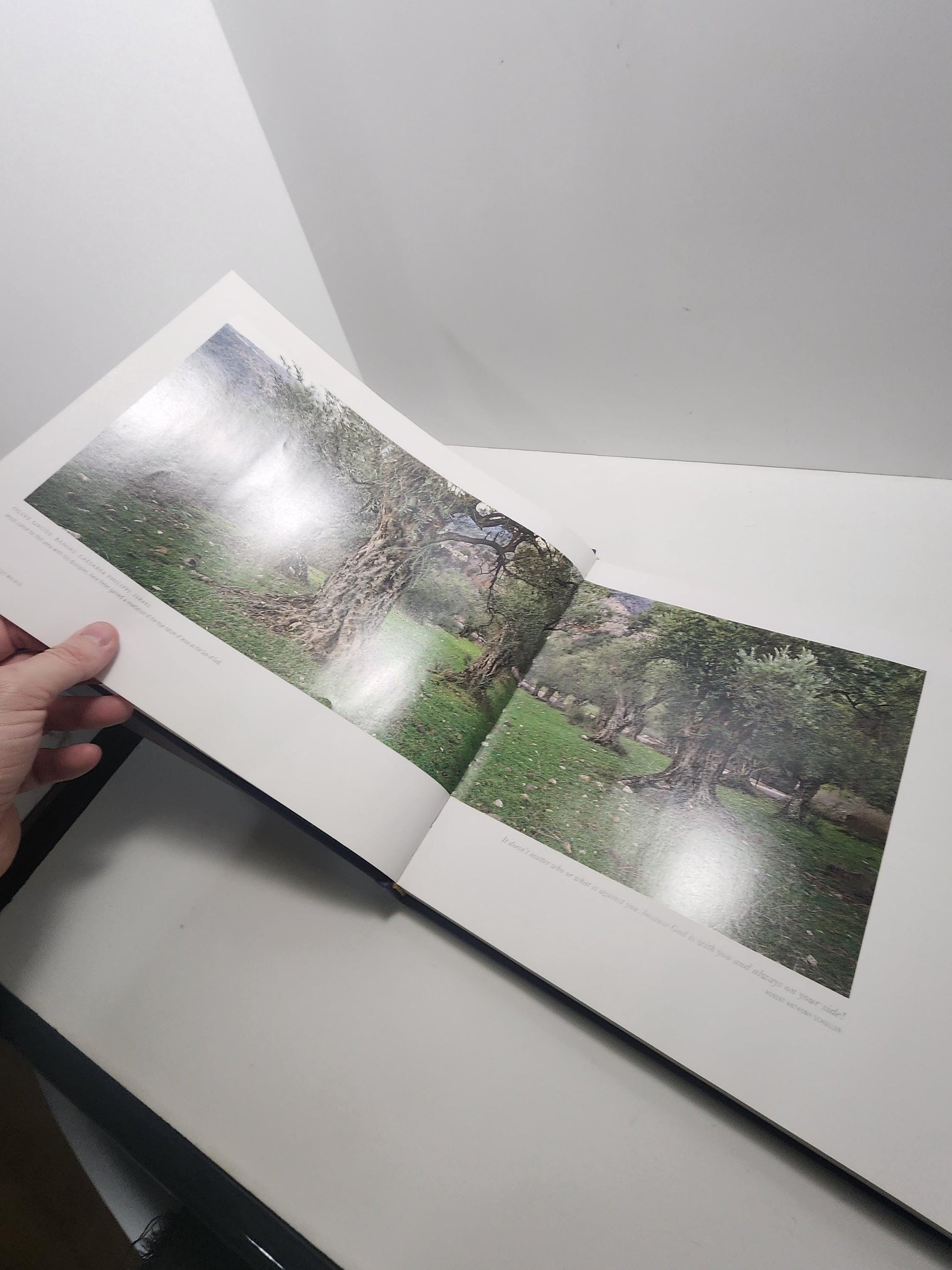 Religious Spiritual 1980s 1990s Books - Virgin Mary - Jesus - Religion - Religious Books - Where Jesus Walked - Art