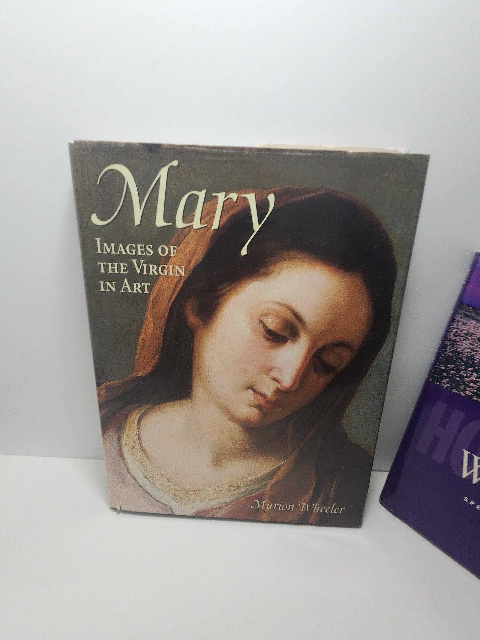 Religious Spiritual 1980s 1990s Books - Virgin Mary - Jesus - Religion - Religious Books - Where Jesus Walked - Art