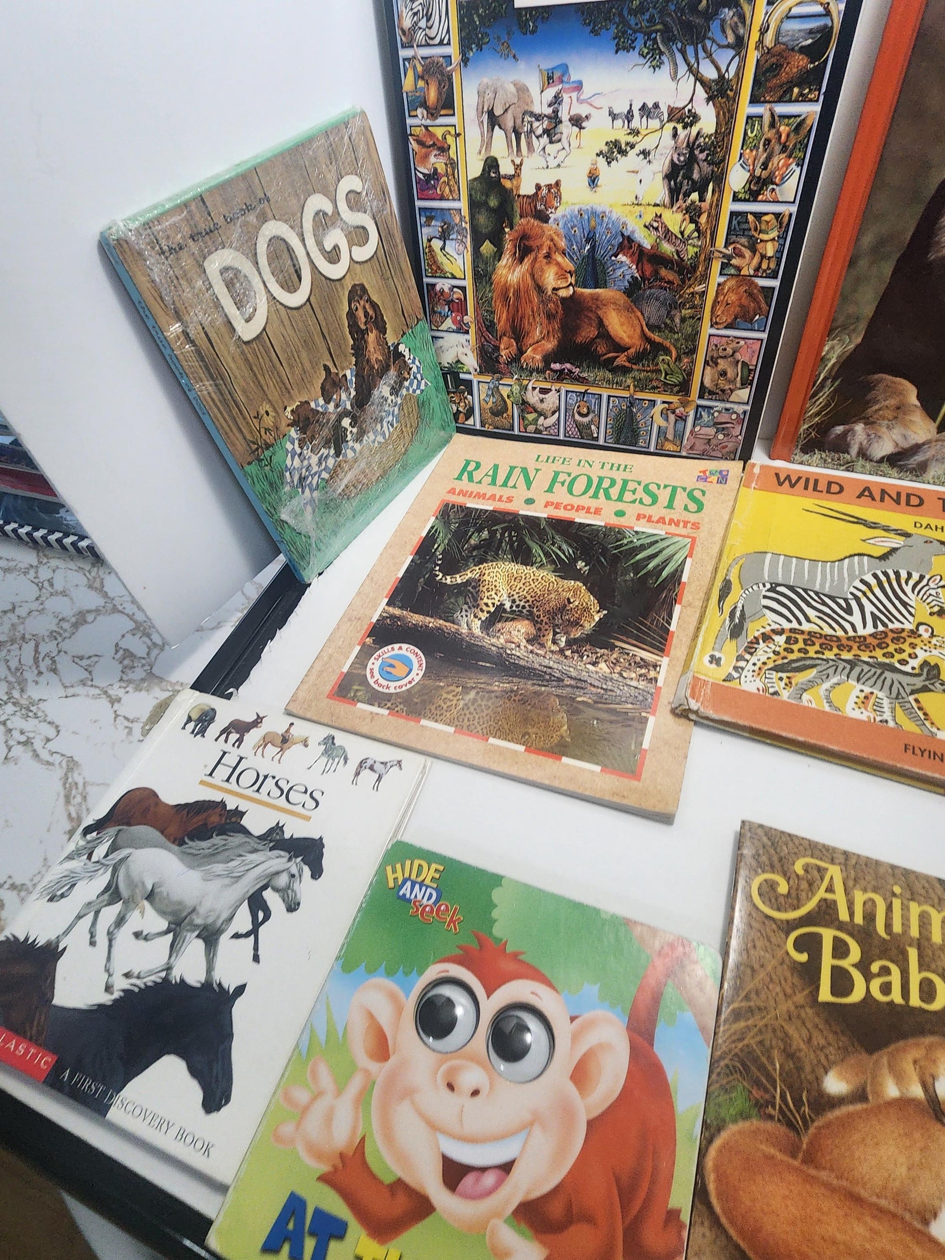 Childrens Animals Books Vintage LOT - Children's Books - Books - Book Lot - Animals - Animal Books - Jungle - Safari - Educational Books