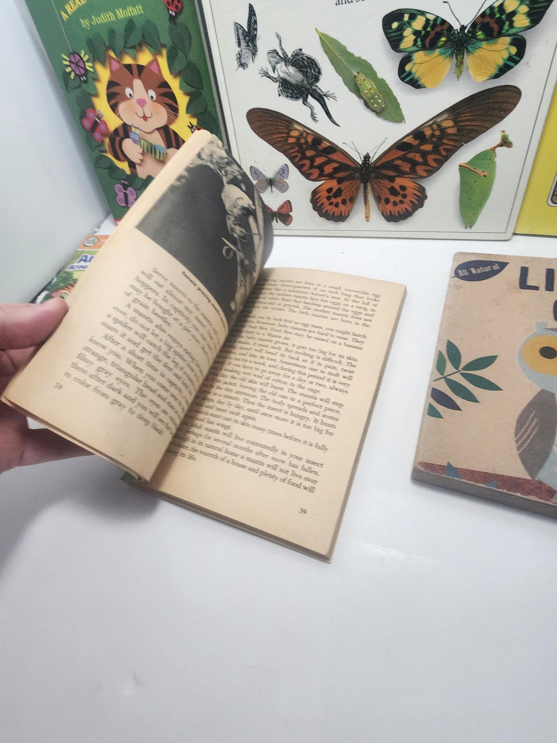 Insects and Bugs Children's Books Vintage LOT - Books - Children's Books - Butterflies - Bugs - Insects