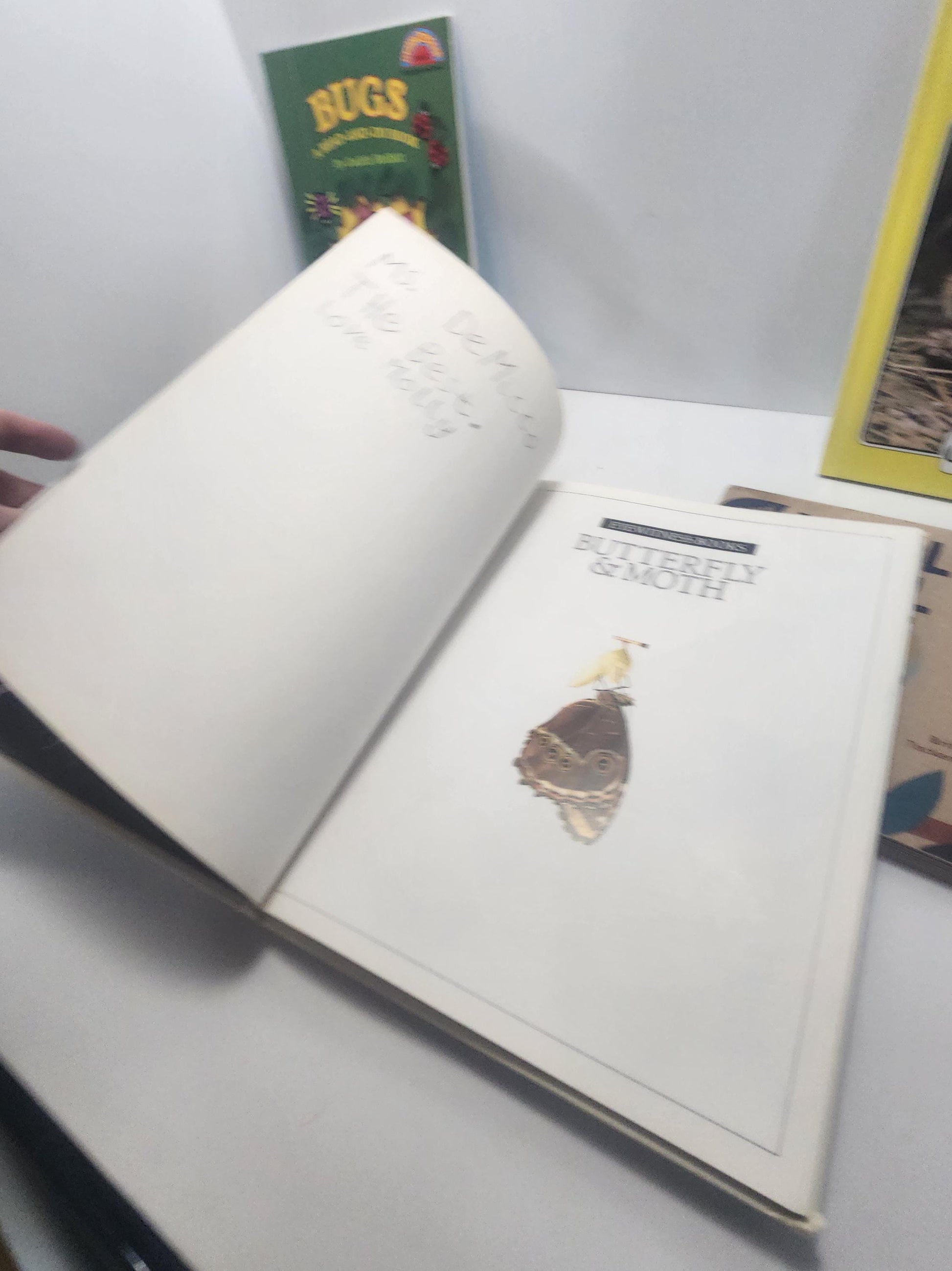 Insects and Bugs Children's Books Vintage LOT - Books - Children's Books - Butterflies - Bugs - Insects