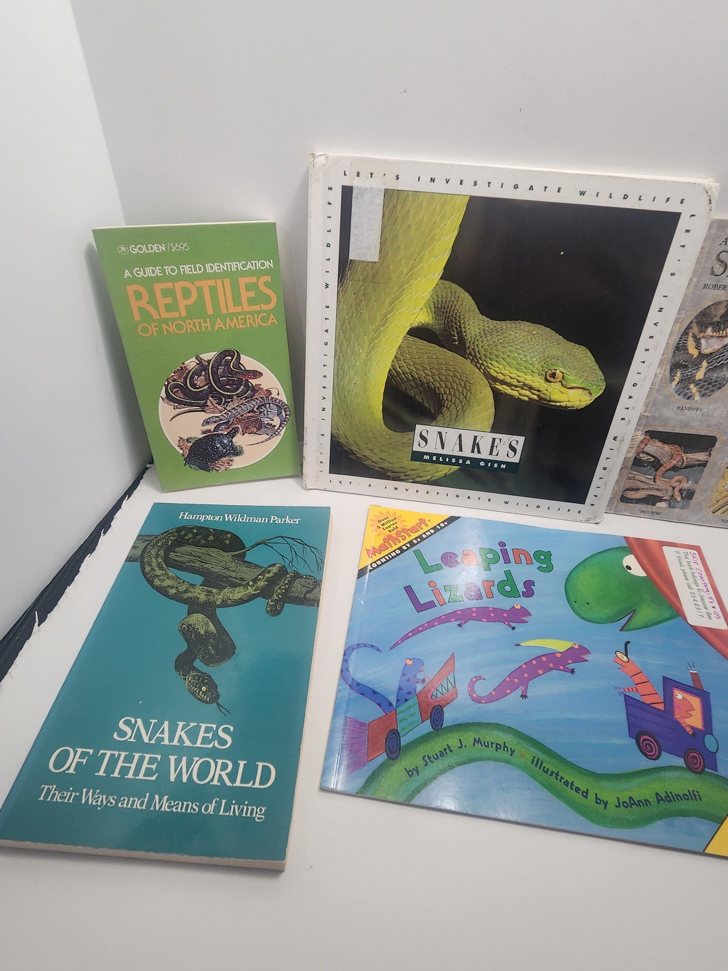 Reptiles Animal Books LOT - Children's Books - Animals - Animal Books - School Books - Educational Books - Reptiles - Reptiles Books