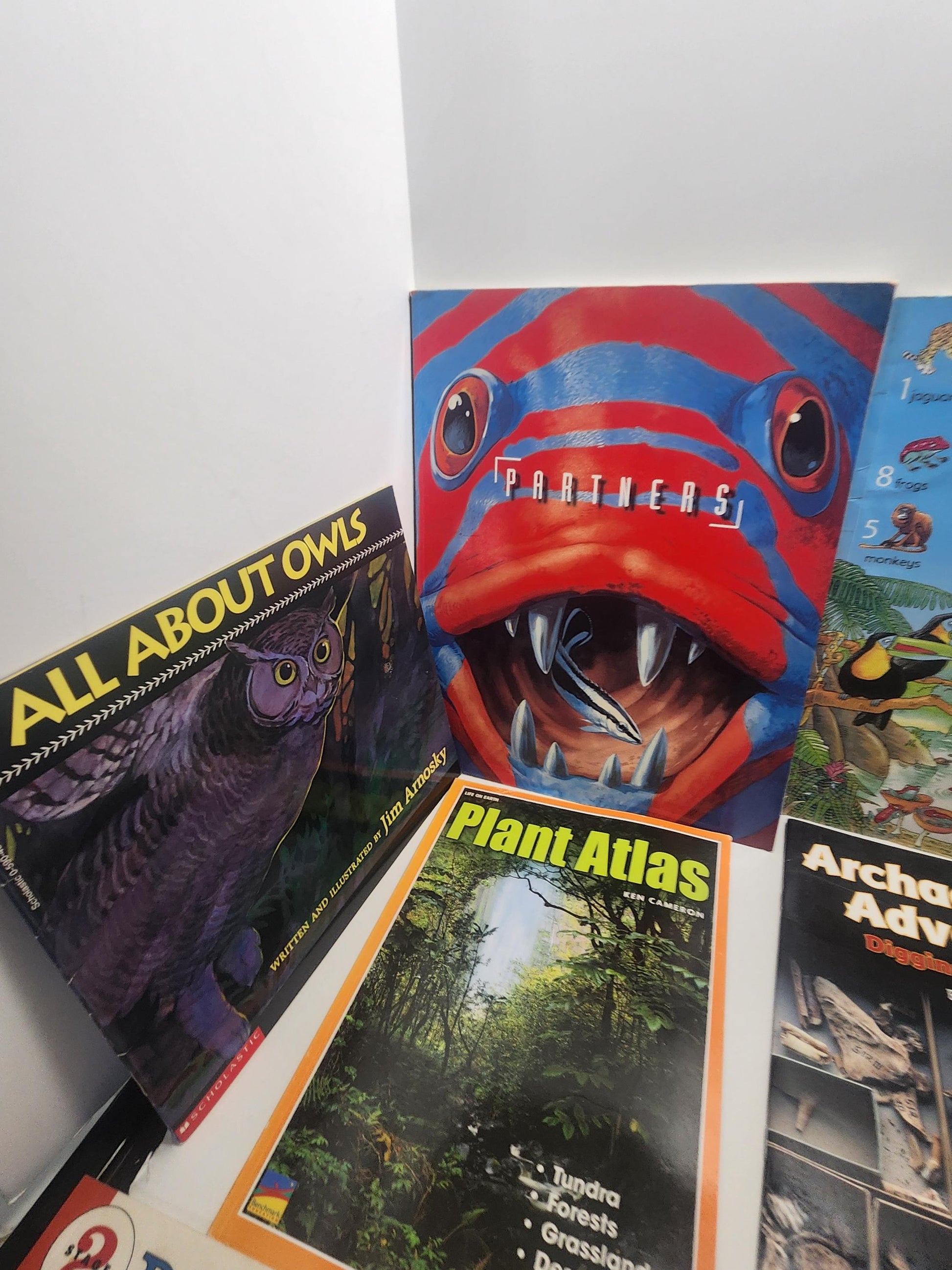 Educational Children's Book Lot - Butterflies - Horses - Scholastic - Kids Books - Children's Books - Book Lot - School Books - Butterflies