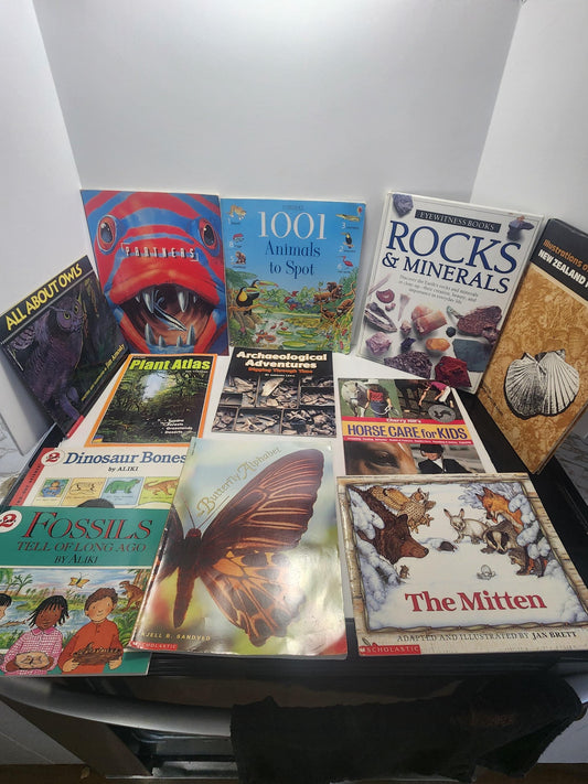 Educational Children's Book Lot - Butterflies - Horses - Scholastic - Kids Books - Children's Books - Book Lot - School Books - Butterflies