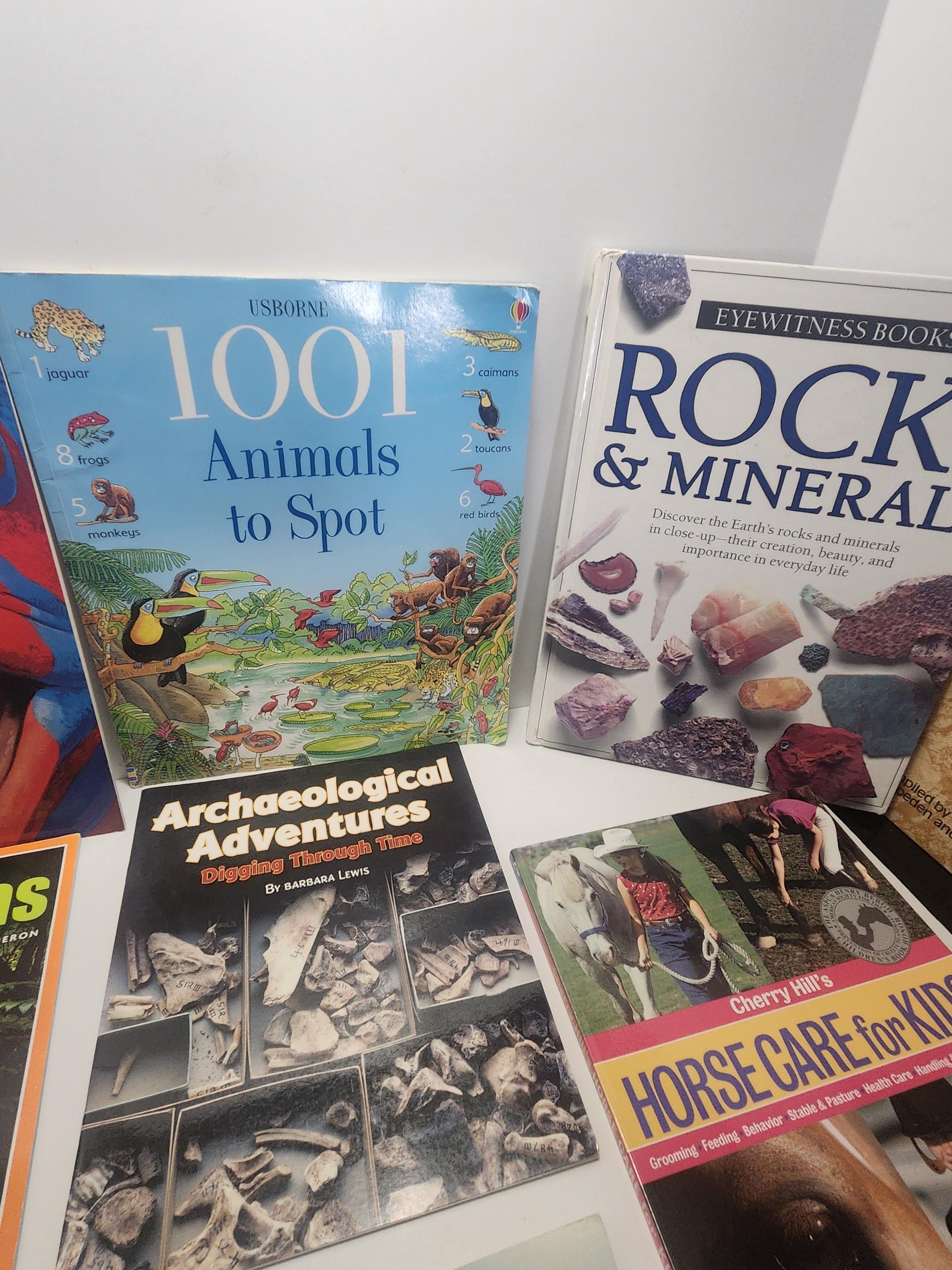 Educational Children's Book Lot - Butterflies - Horses - Scholastic - Kids Books - Children's Books - Book Lot - School Books - Butterflies